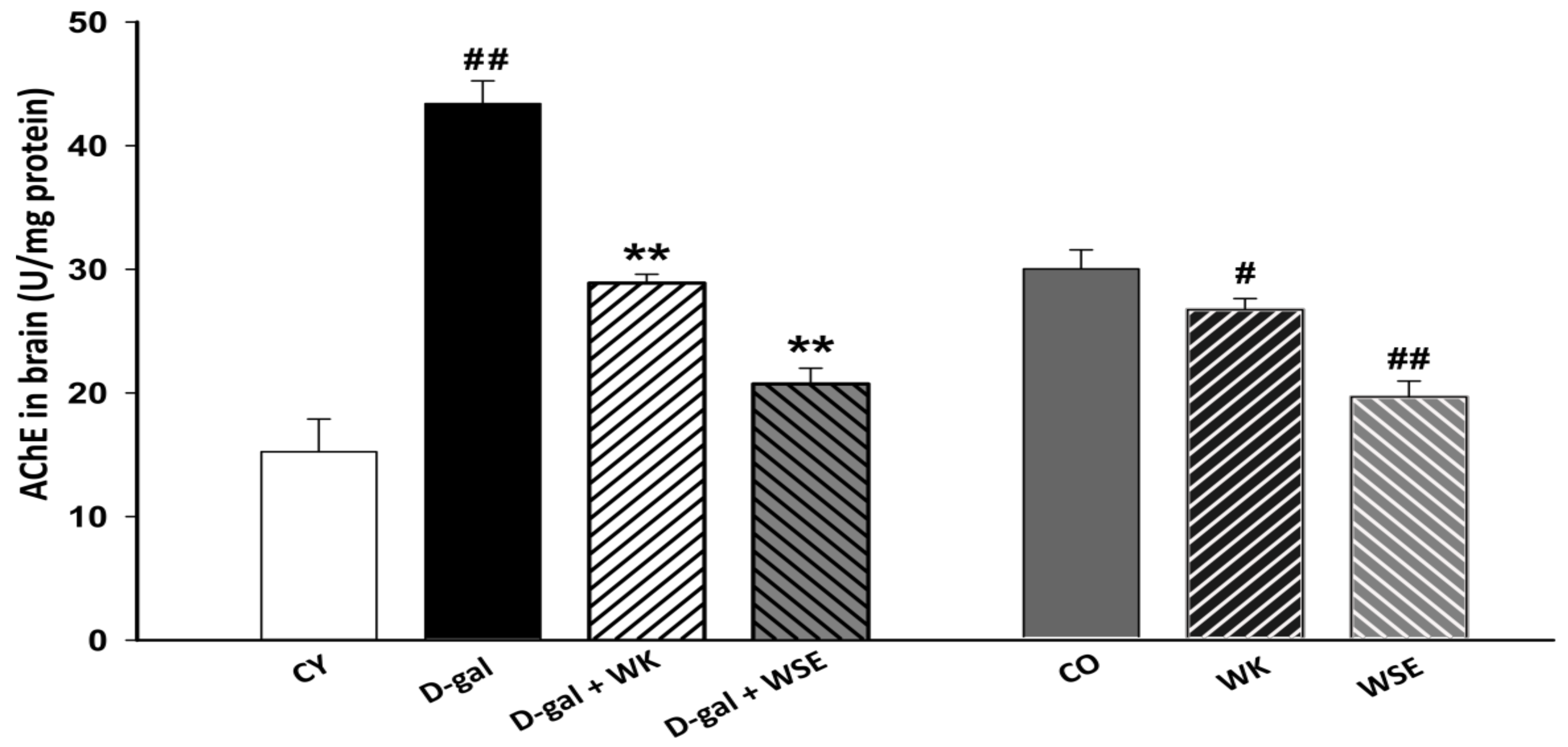 Antioxidants Free Full Text Antioxidant Effects Of Walnut Juglans Regia L Kernel And Walnut Septum Extract In A D Galactose Induced Aging Model And In Naturally Aged Rats Html