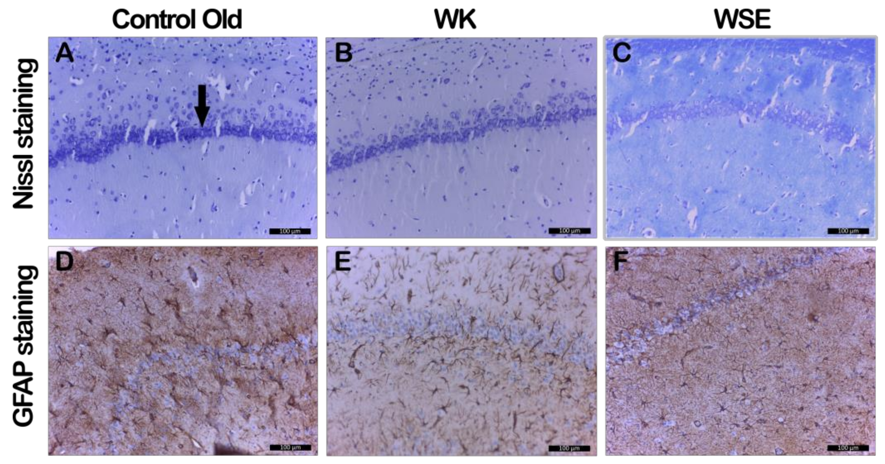 Antioxidants 09 00424 g010