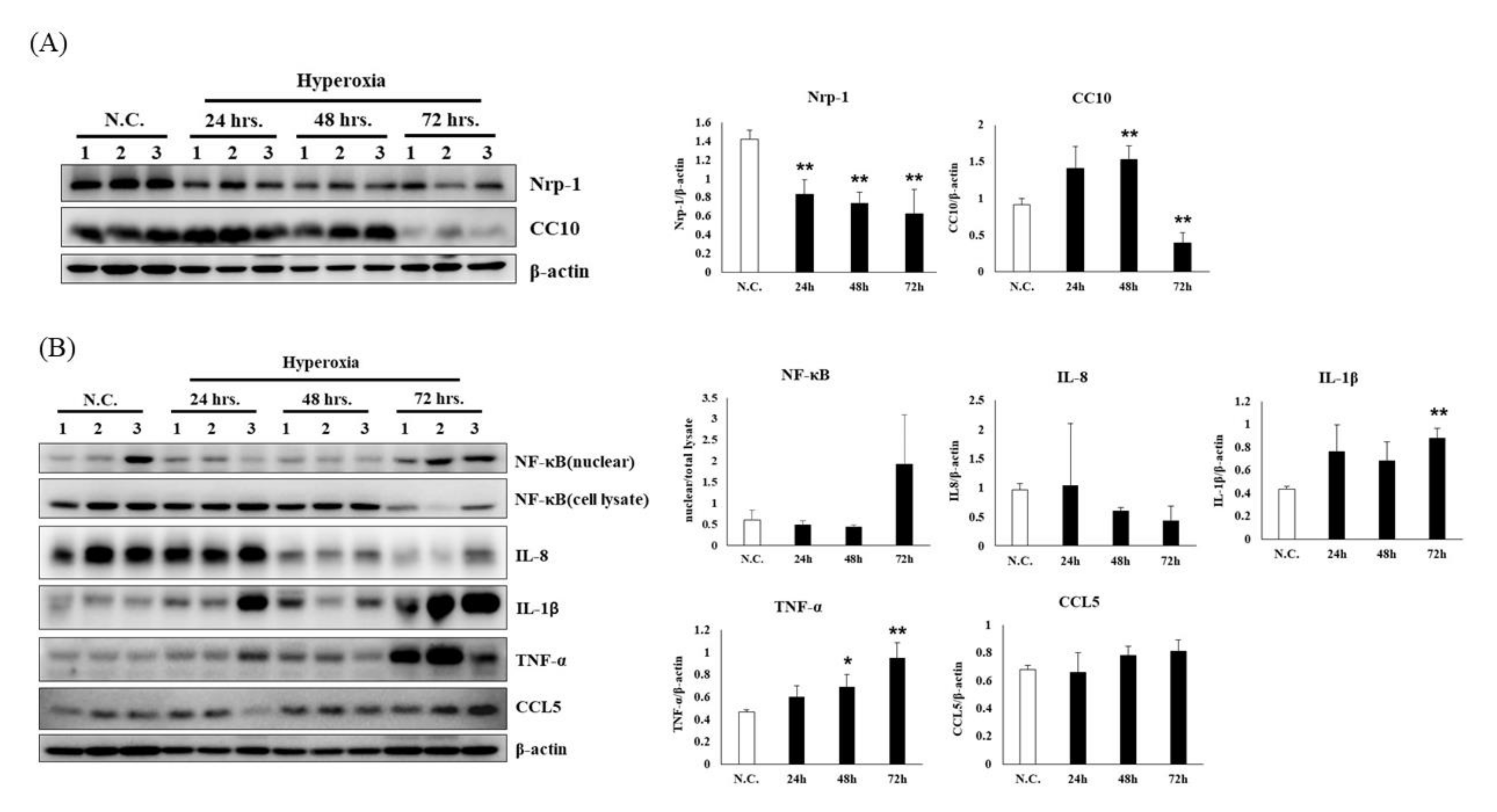 Antioxidants 09 00429 g002