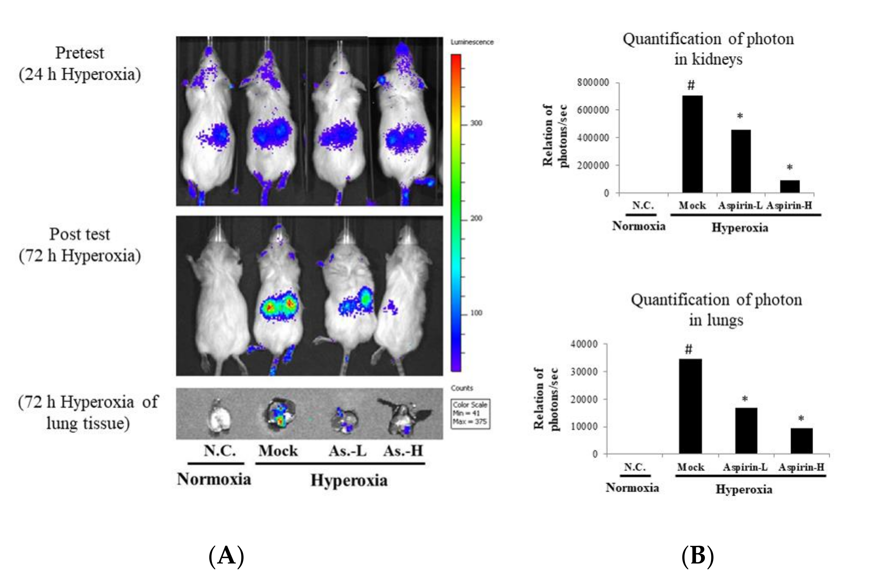 Antioxidants 09 00429 g003