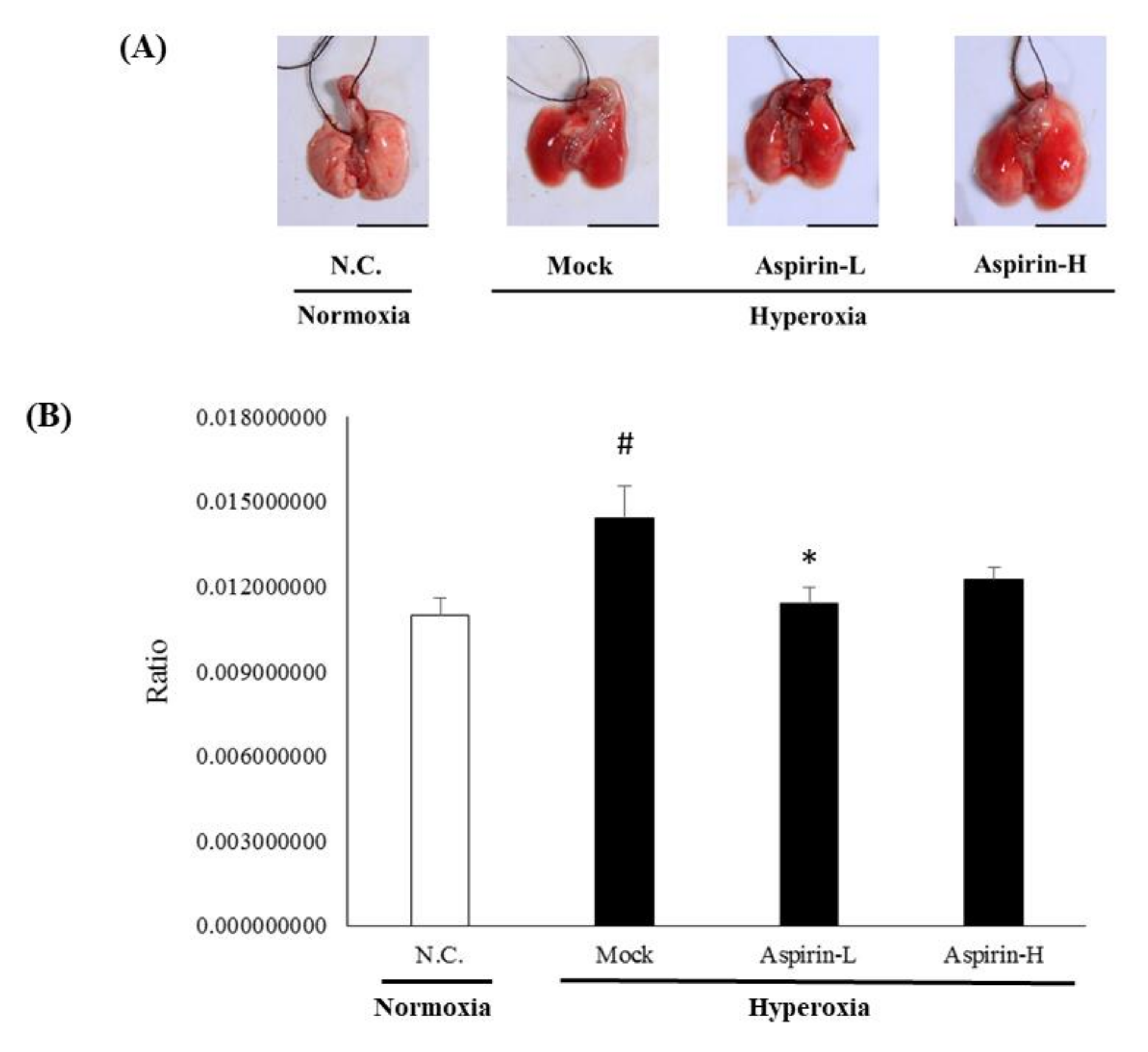 Antioxidants 09 00429 g004