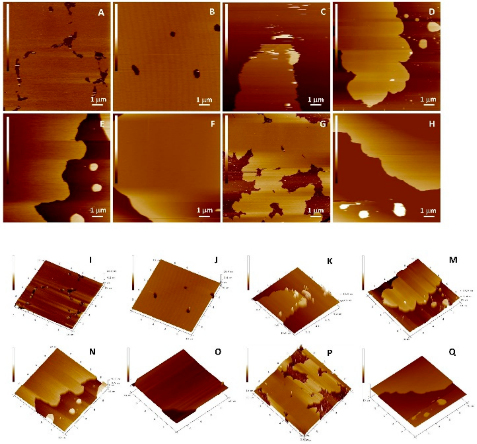 Antioxidants 09 00430 g010