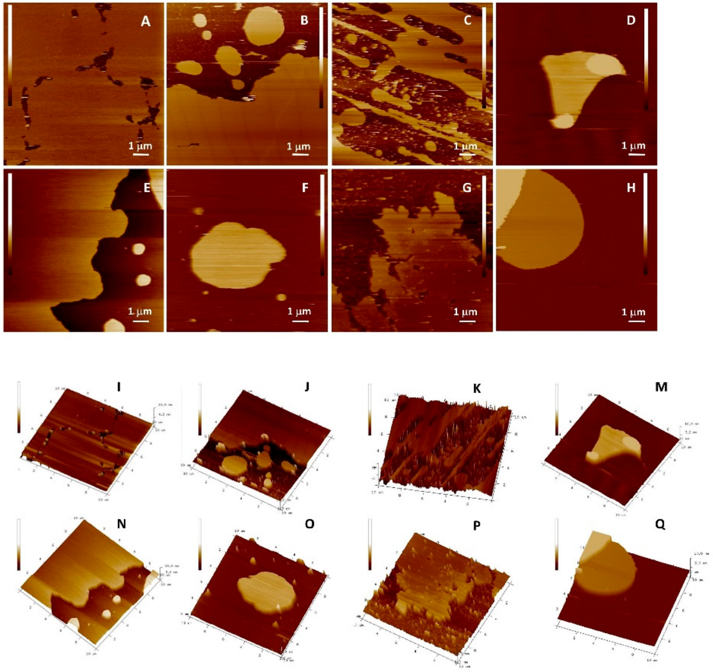 Antioxidants 09 00430 g011