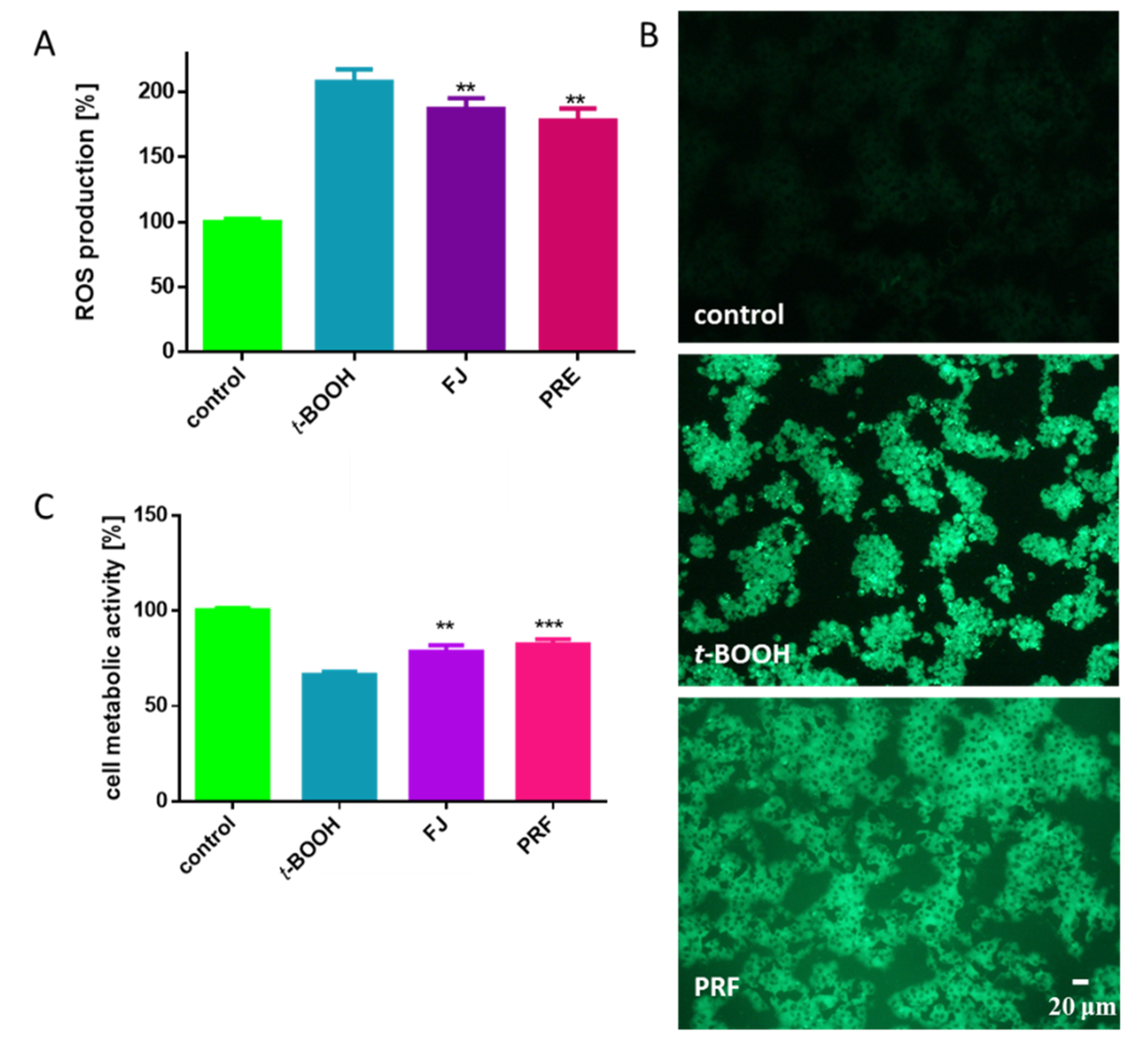 Antioxidants 09 00433 g006