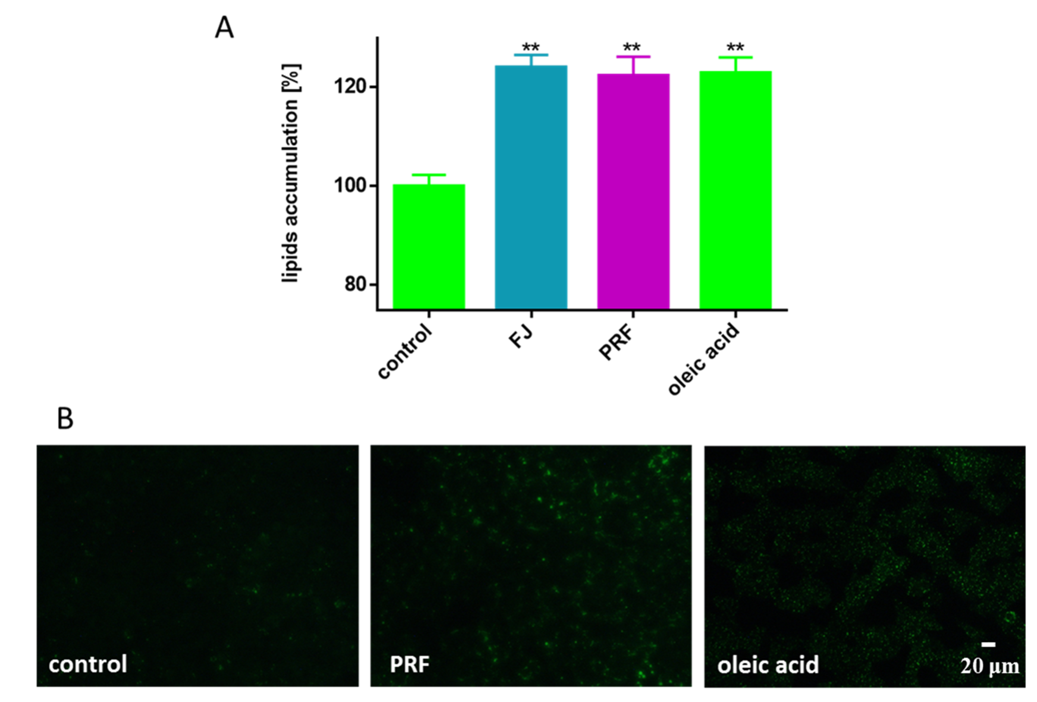 Antioxidants 09 00433 g007