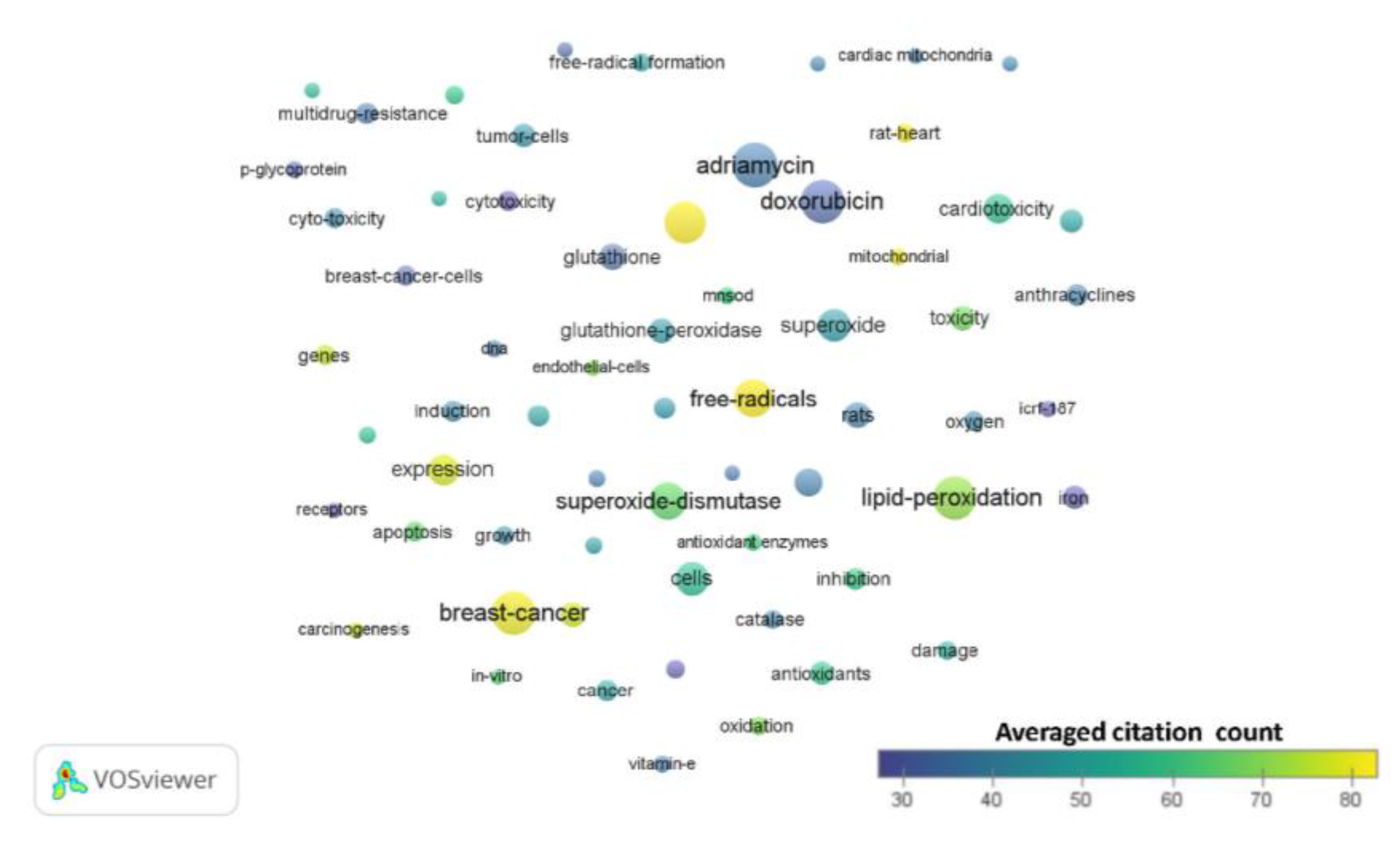 Antioxidants 09 00439 g002