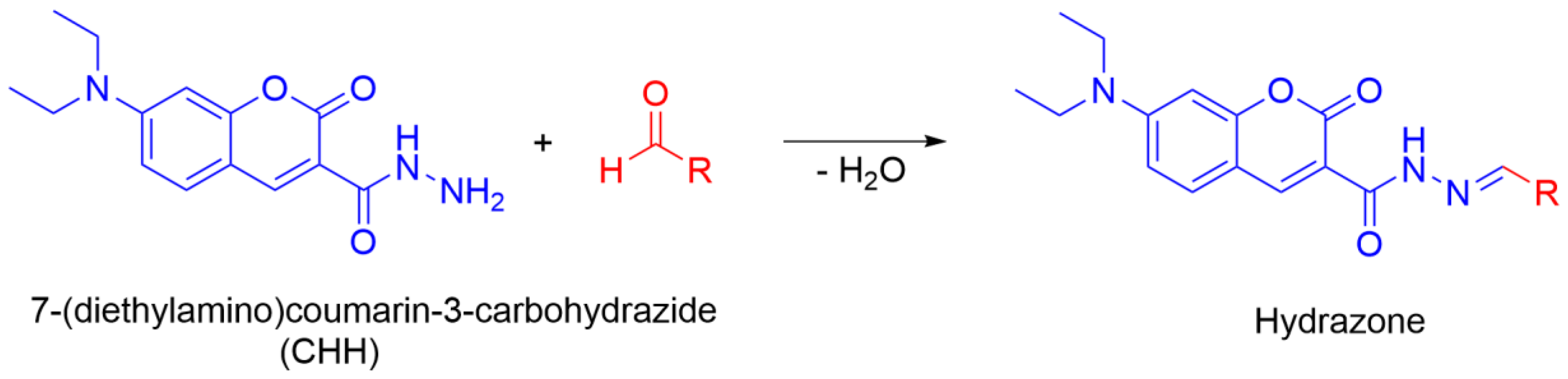 Antioxidants 09 00441 g007 Antioxidants 09 00441 g007