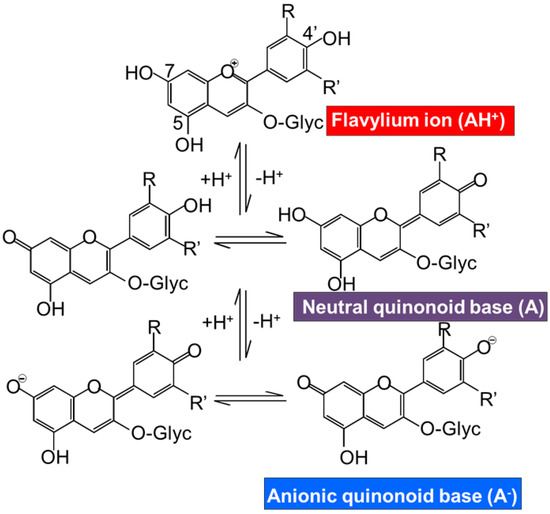 Antioxidants Free FullText State of the Art of Anthocyanins