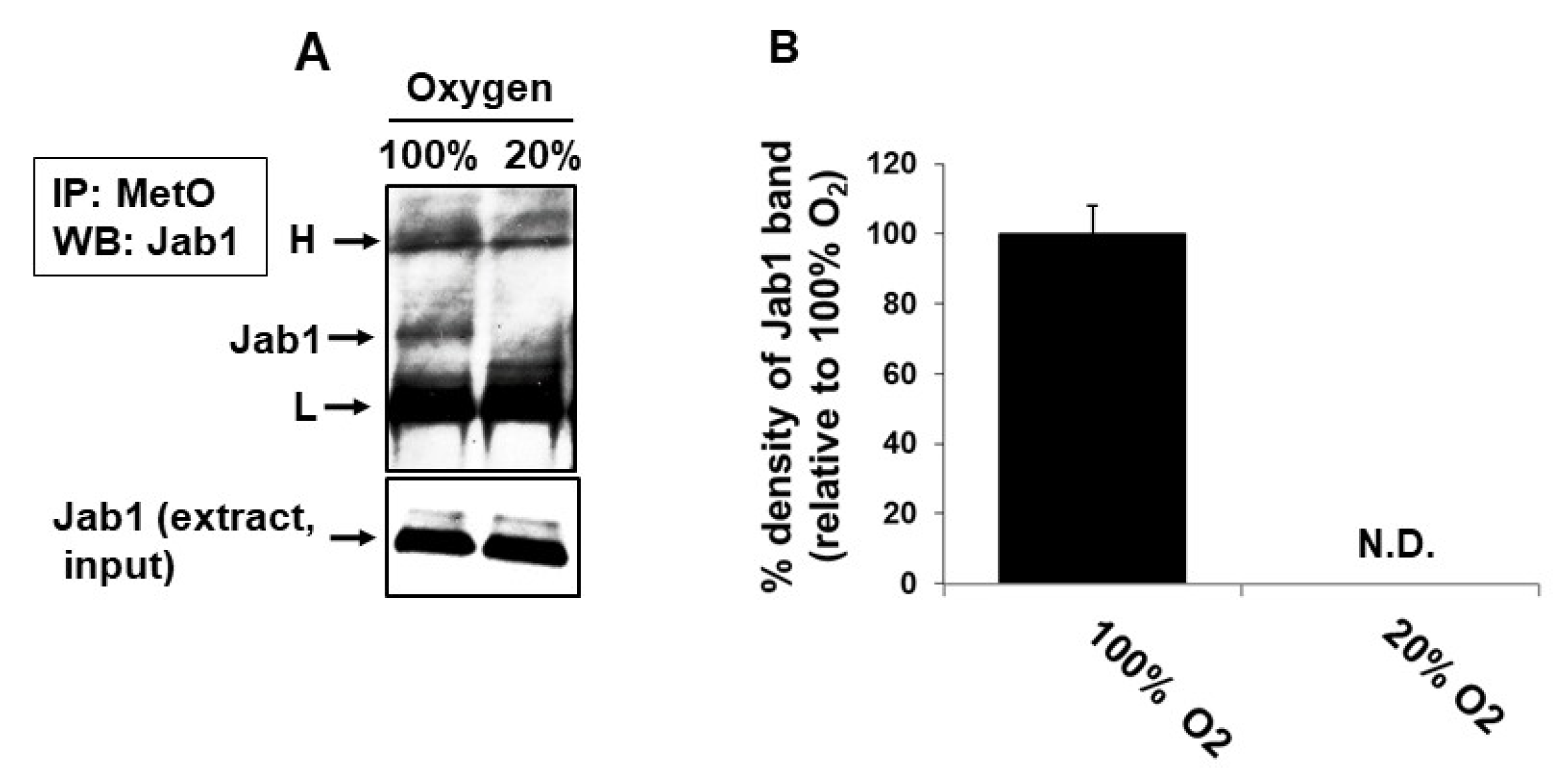 Antioxidants 09 00452 g003 Antioxidants 09 00452 g003
