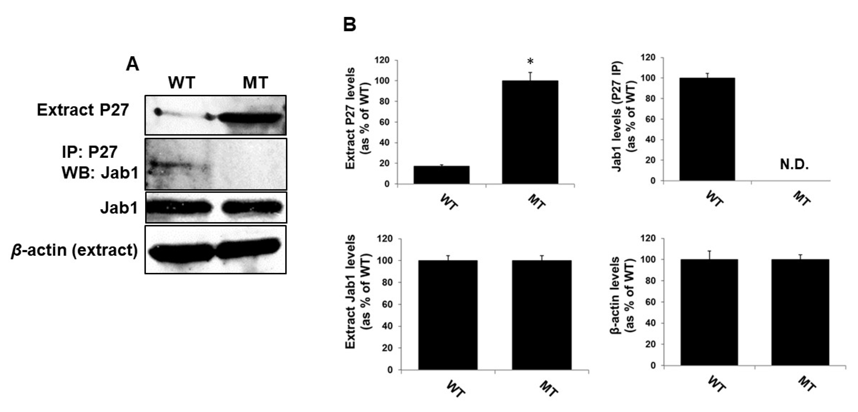 Antioxidants 09 00452 g006 Antioxidants 09 00452 g006