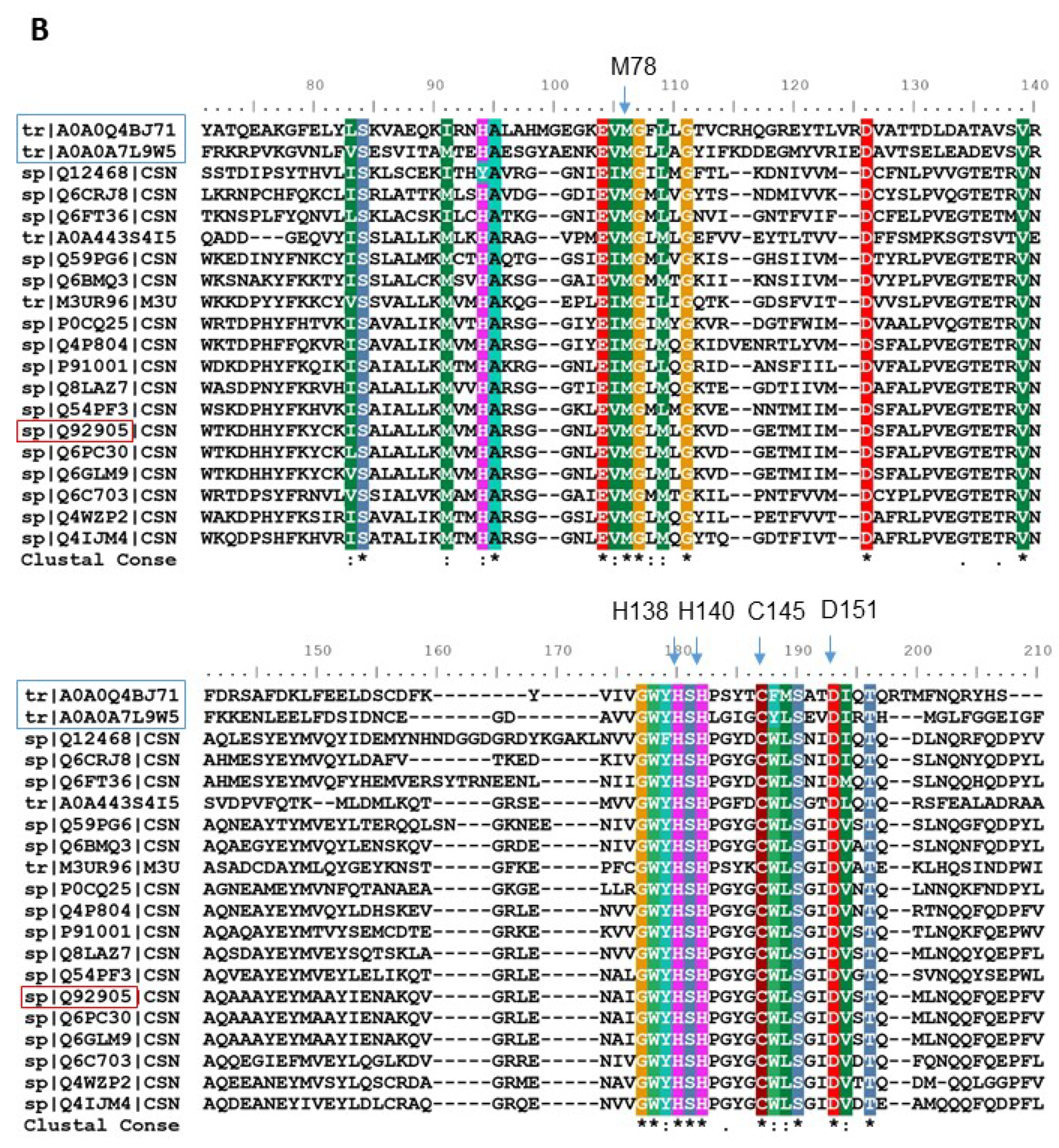 Antioxidants 09 00452 g008b Antioxidants 09 00452 g008b