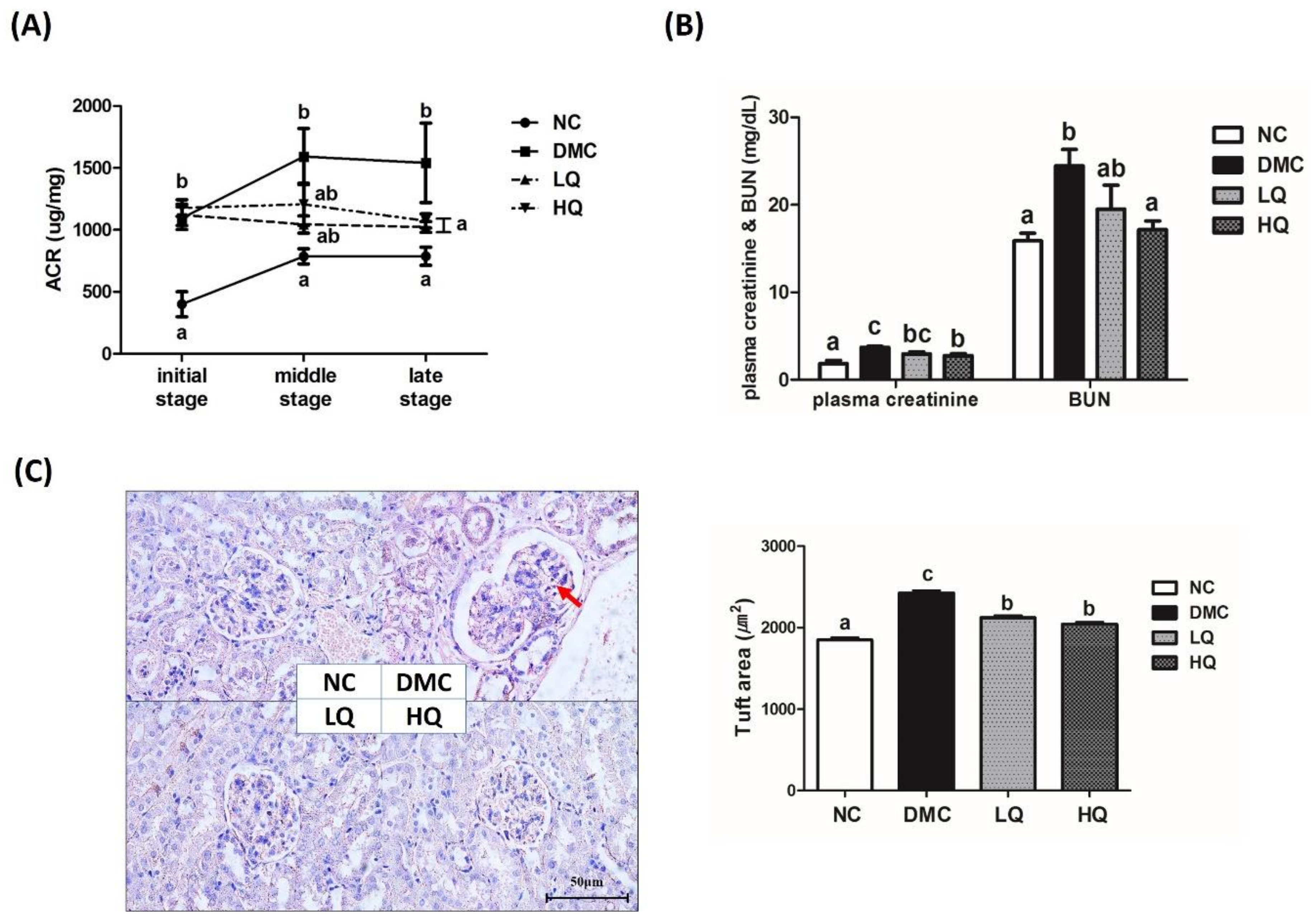 Antioxidants 09 00459 g002 Antioxidants 09 00459 g002