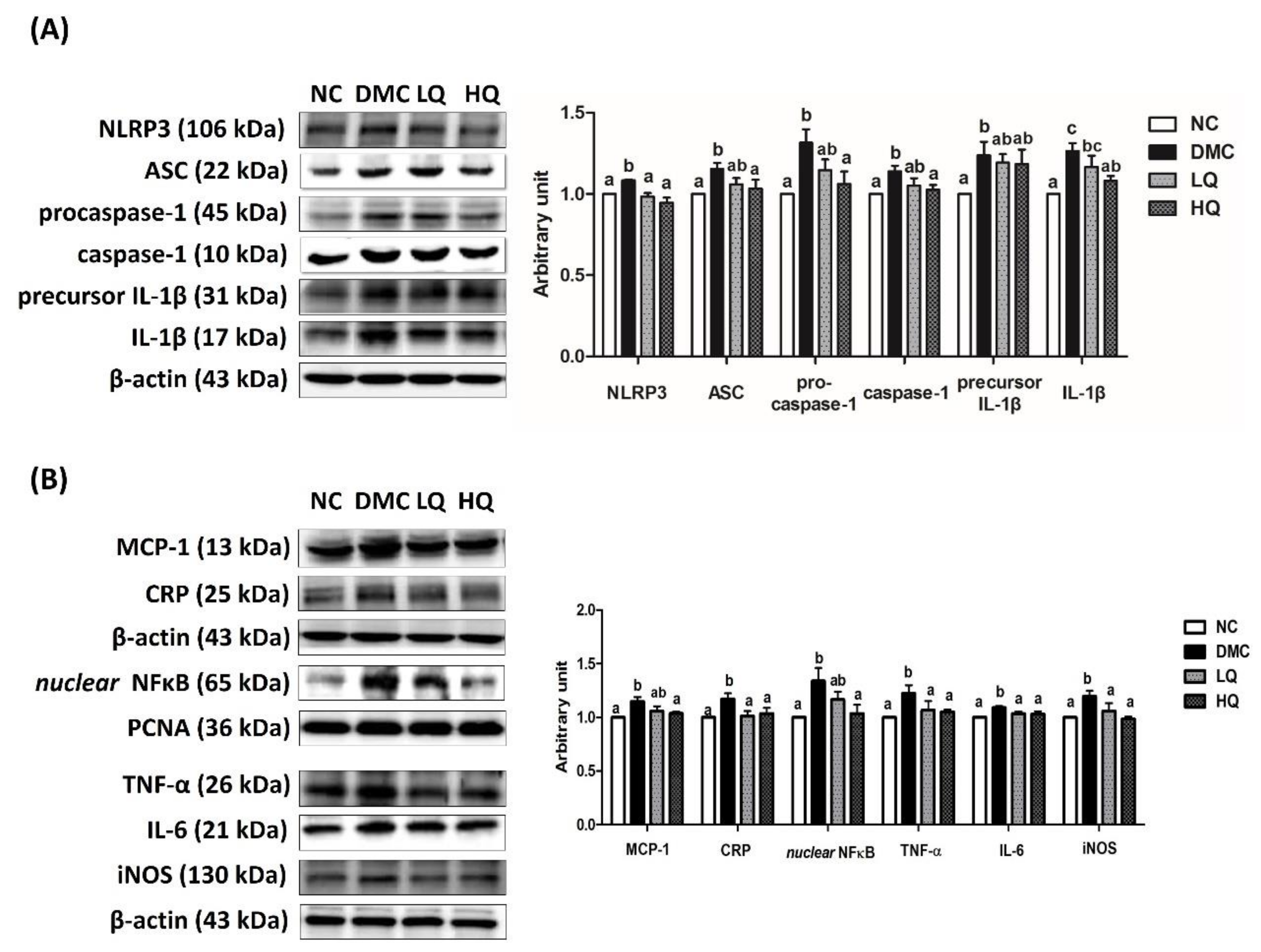 Antioxidants 09 00459 g004 Antioxidants 09 00459 g004