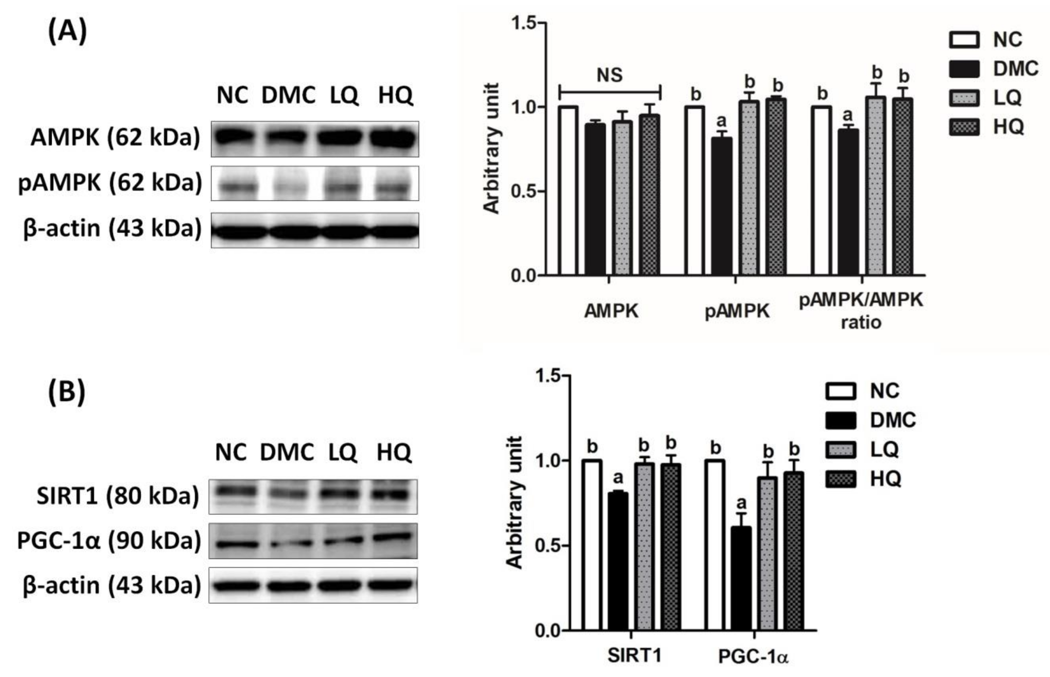 Antioxidants 09 00459 g005 Antioxidants 09 00459 g005