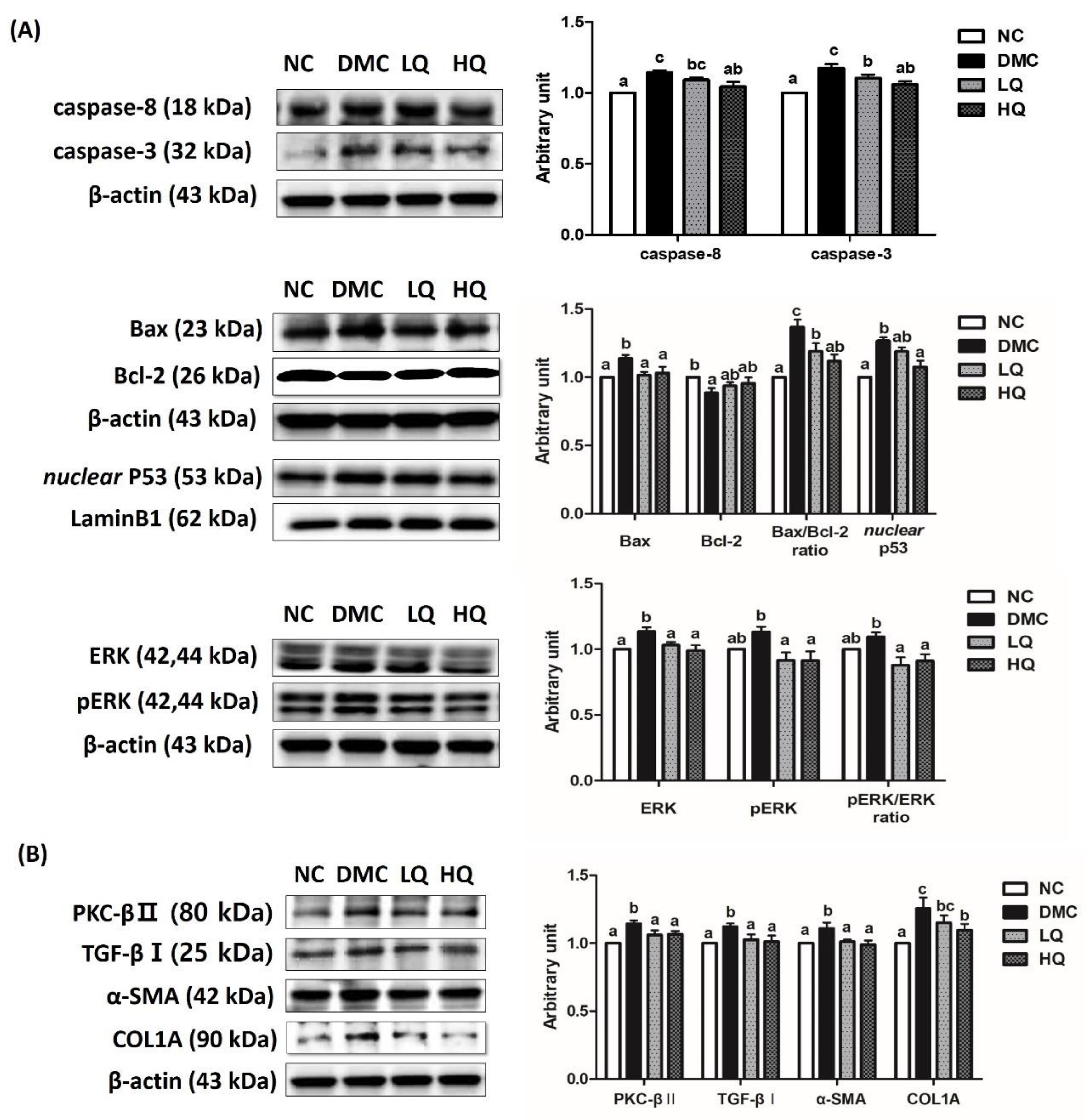 Antioxidants 09 00459 g006 Antioxidants 09 00459 g006