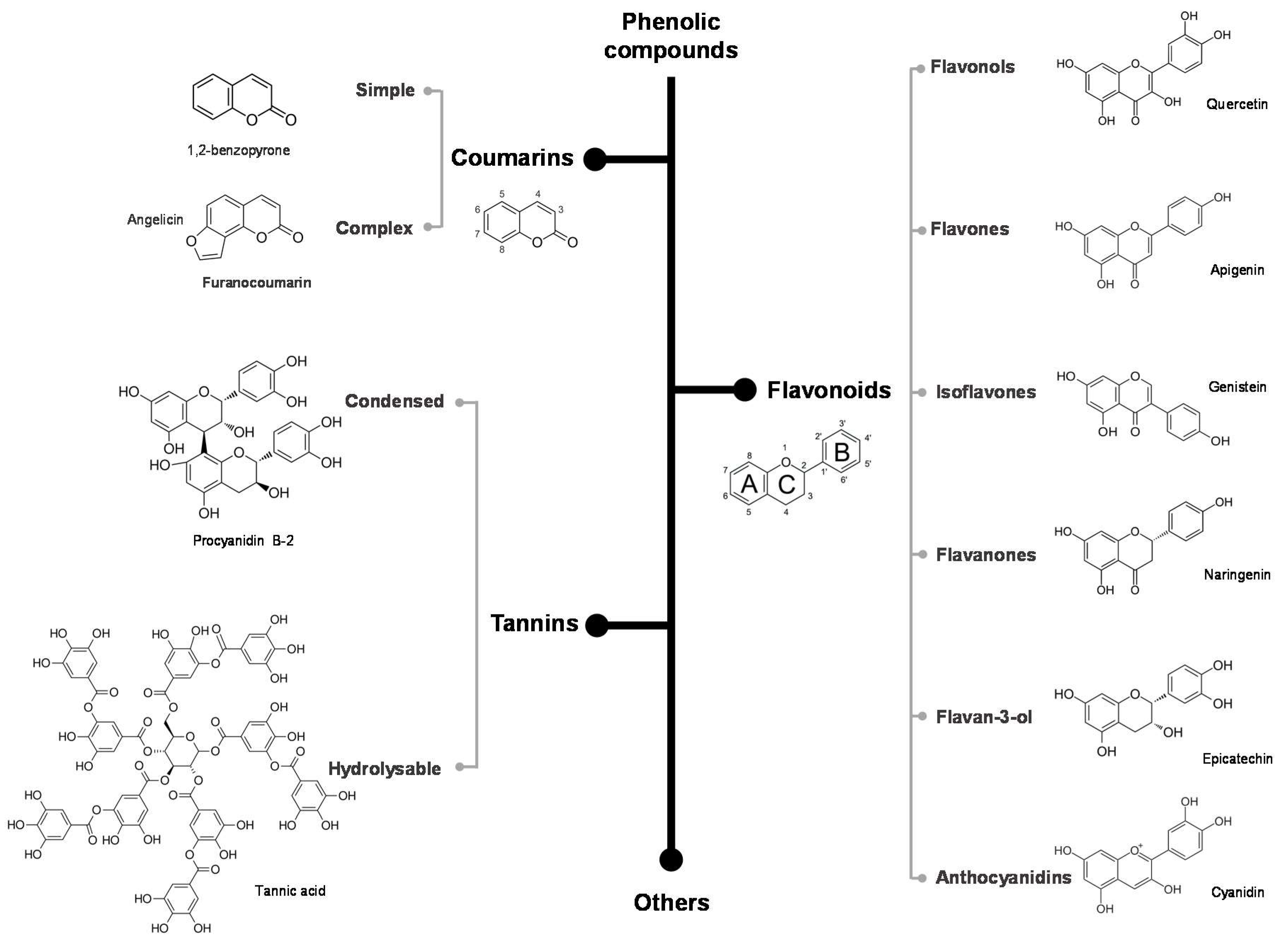 Antioxidants 09 00463 g001