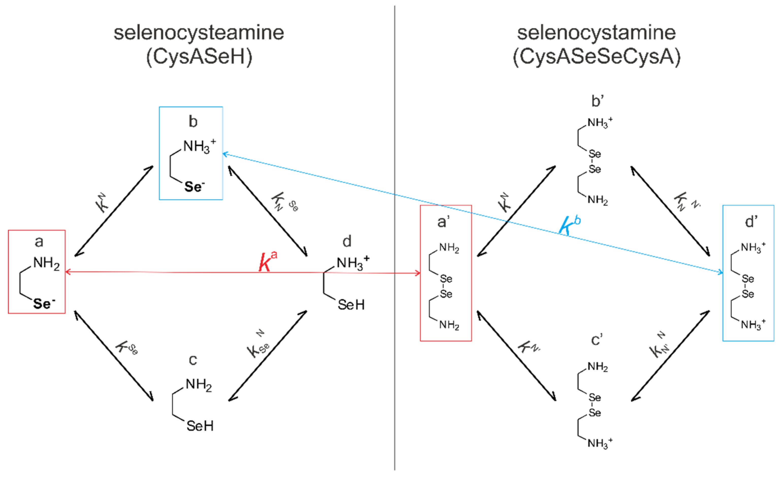 Antioxidants 09 00465 g004