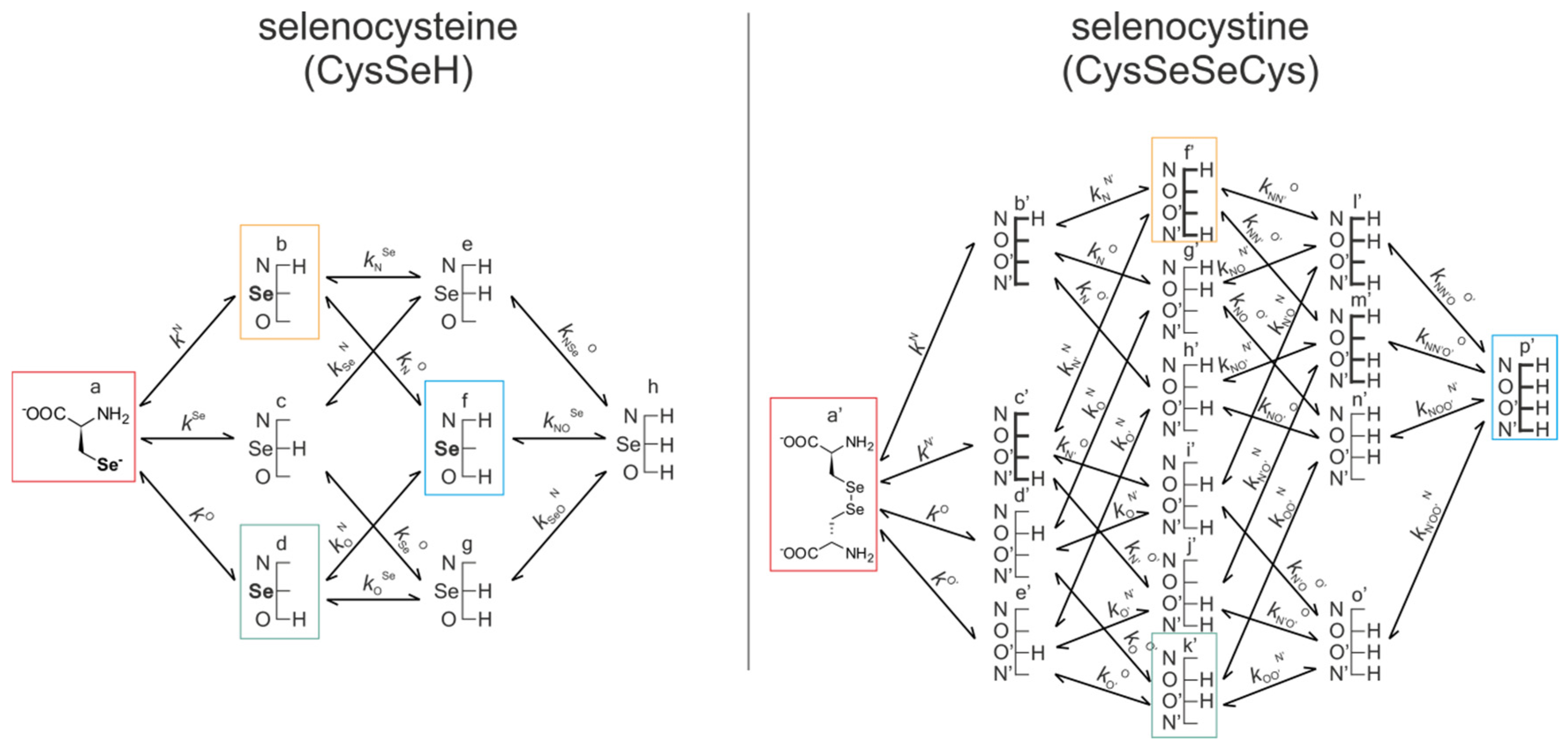 Antioxidants 09 00465 g005