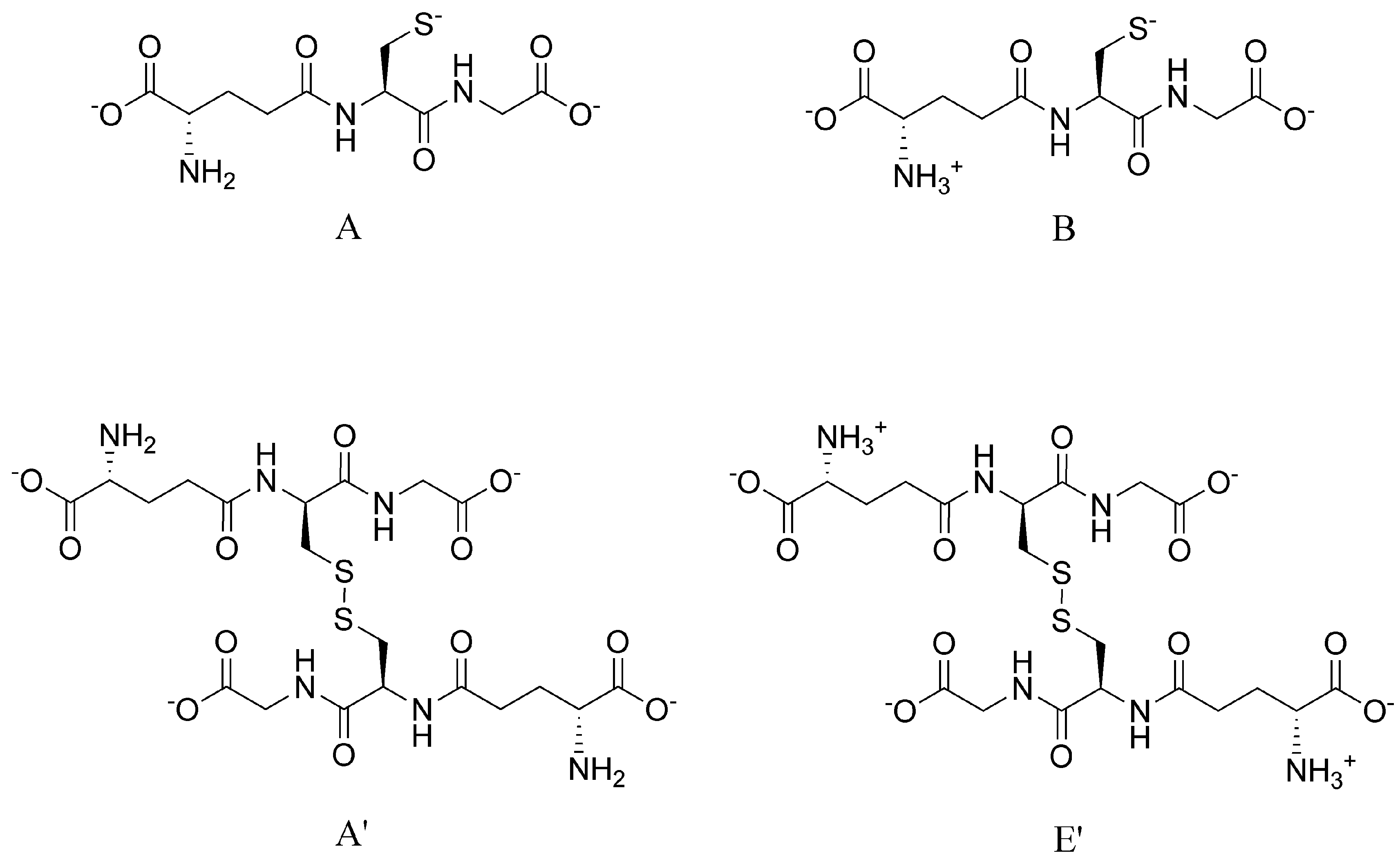 Antioxidants 09 00465 g006