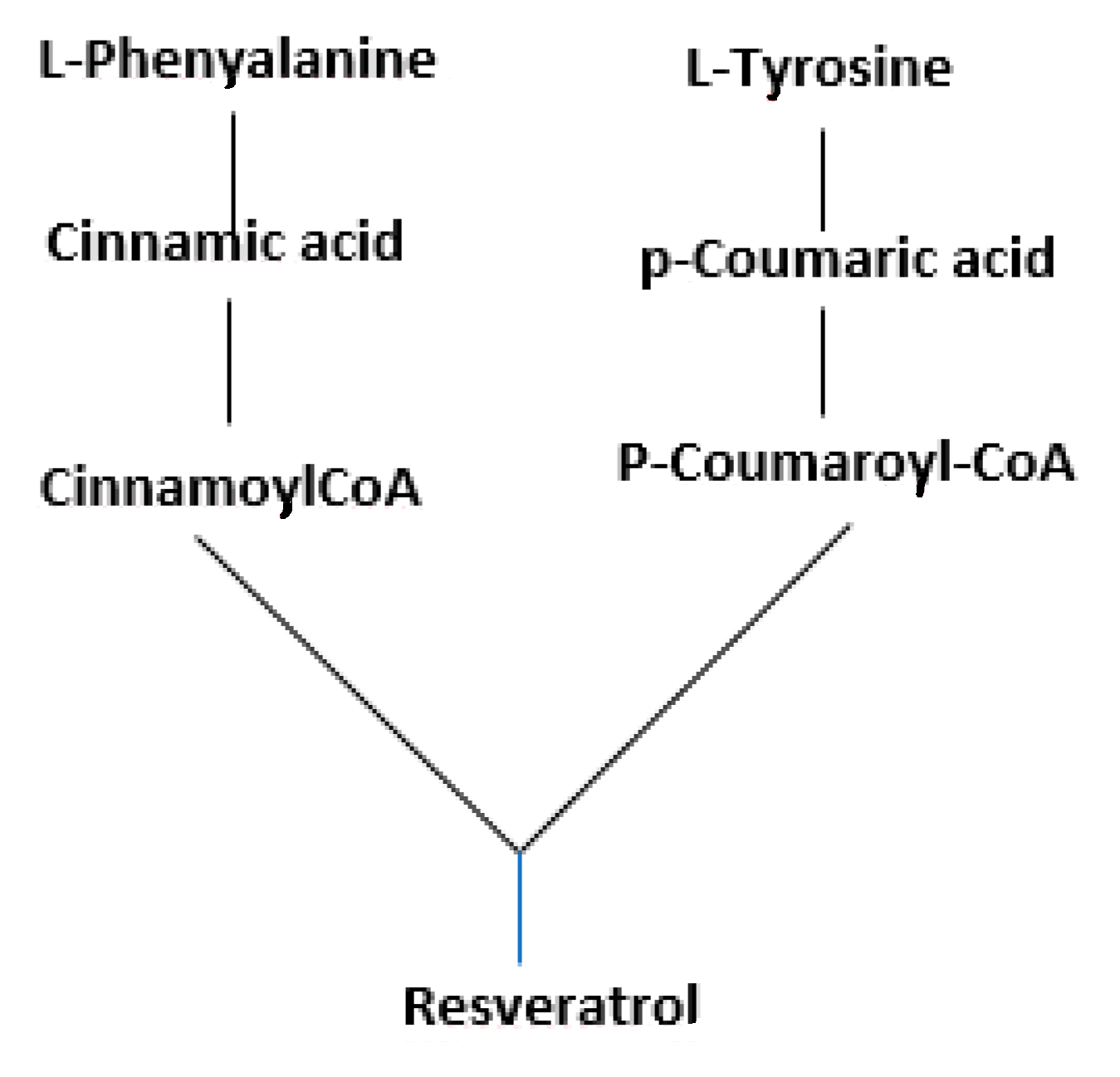 Antioxidants 09 00466 g002 Antioxidants 09 00466 g002