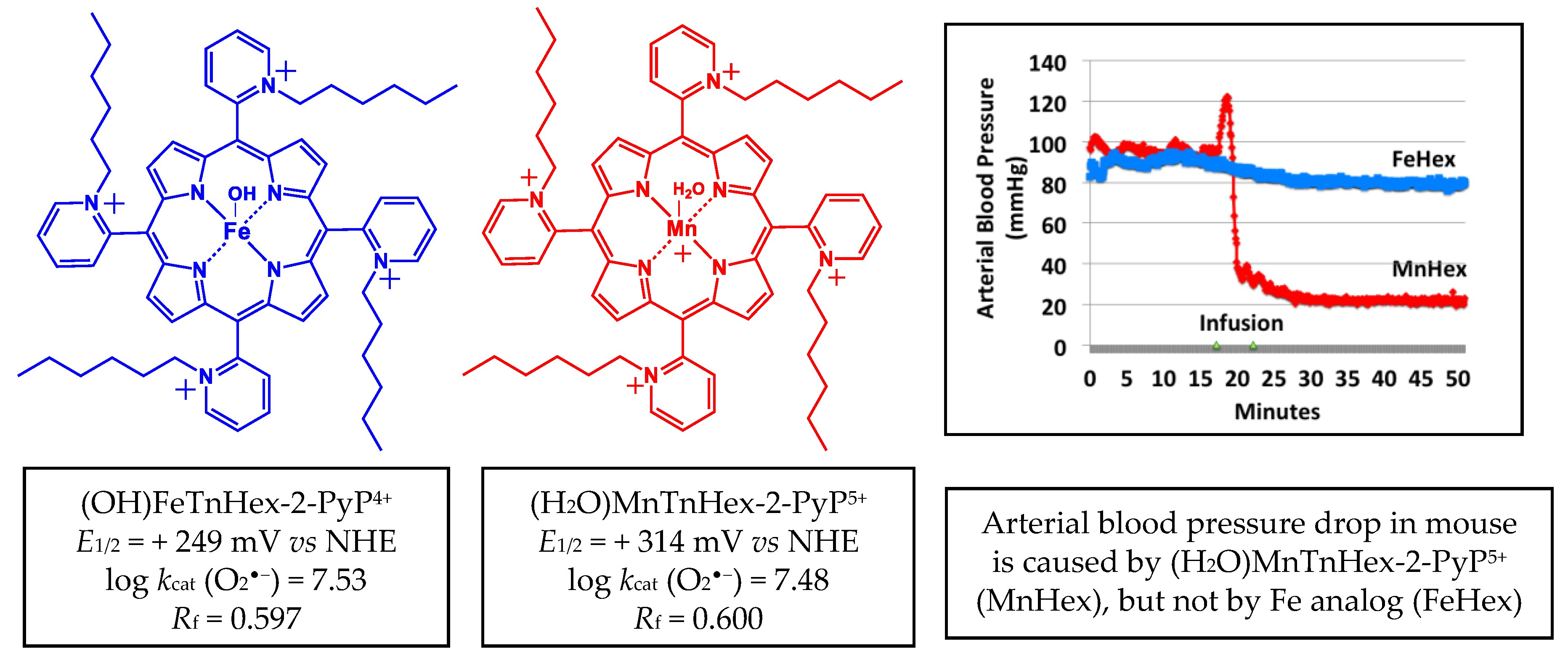 Antioxidants 09 00467 g002 Antioxidants 09 00467 g002