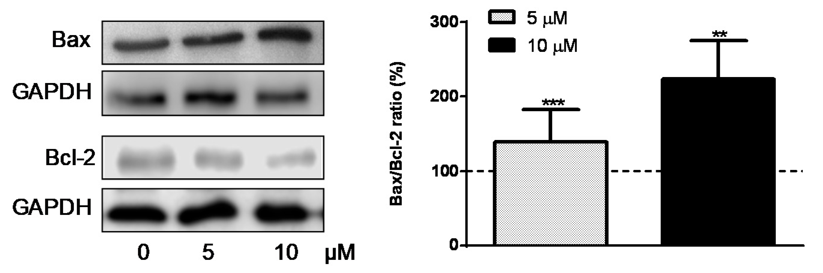 Antioxidants 09 00469 g007