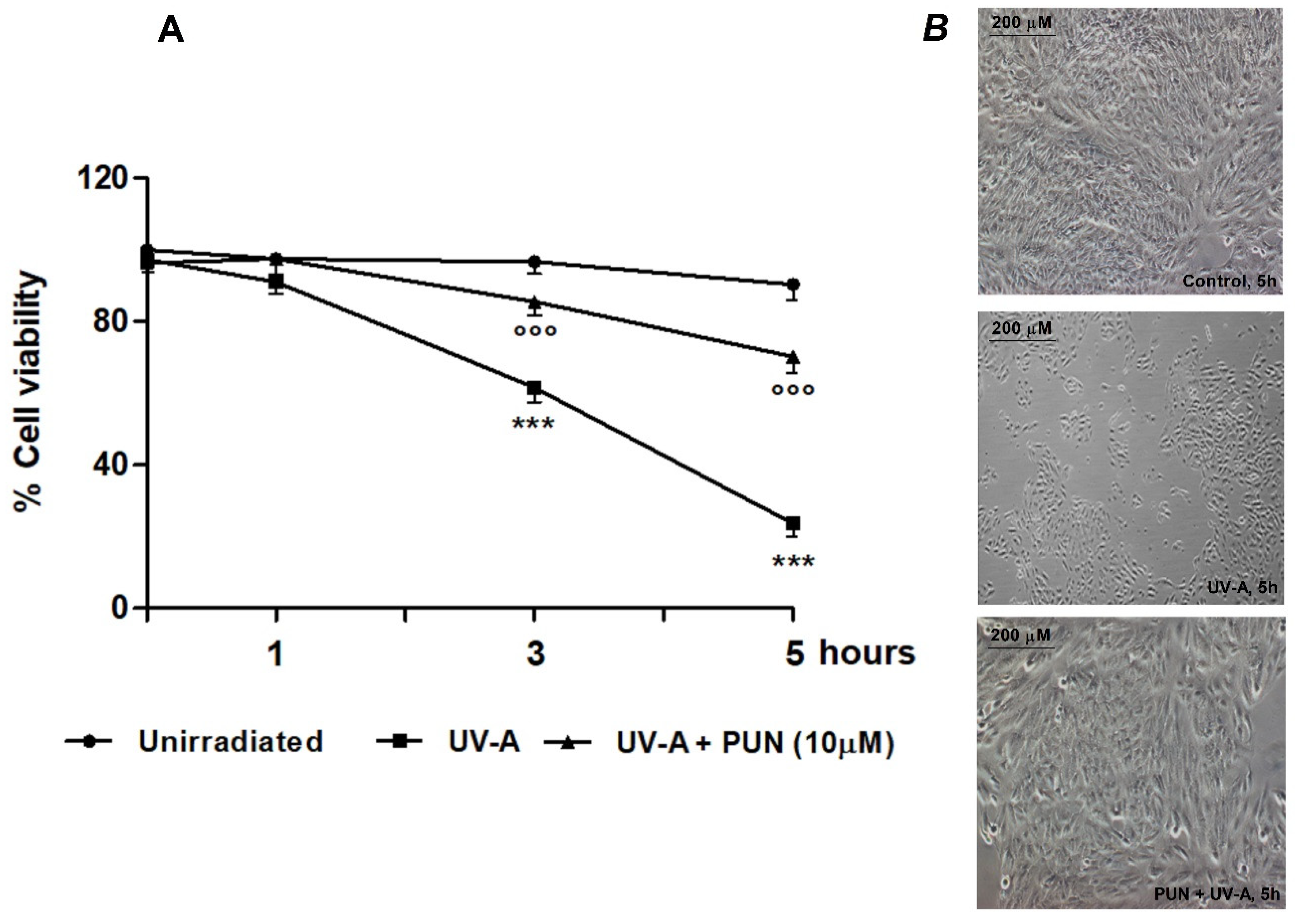 Antioxidants 09 00473 g001