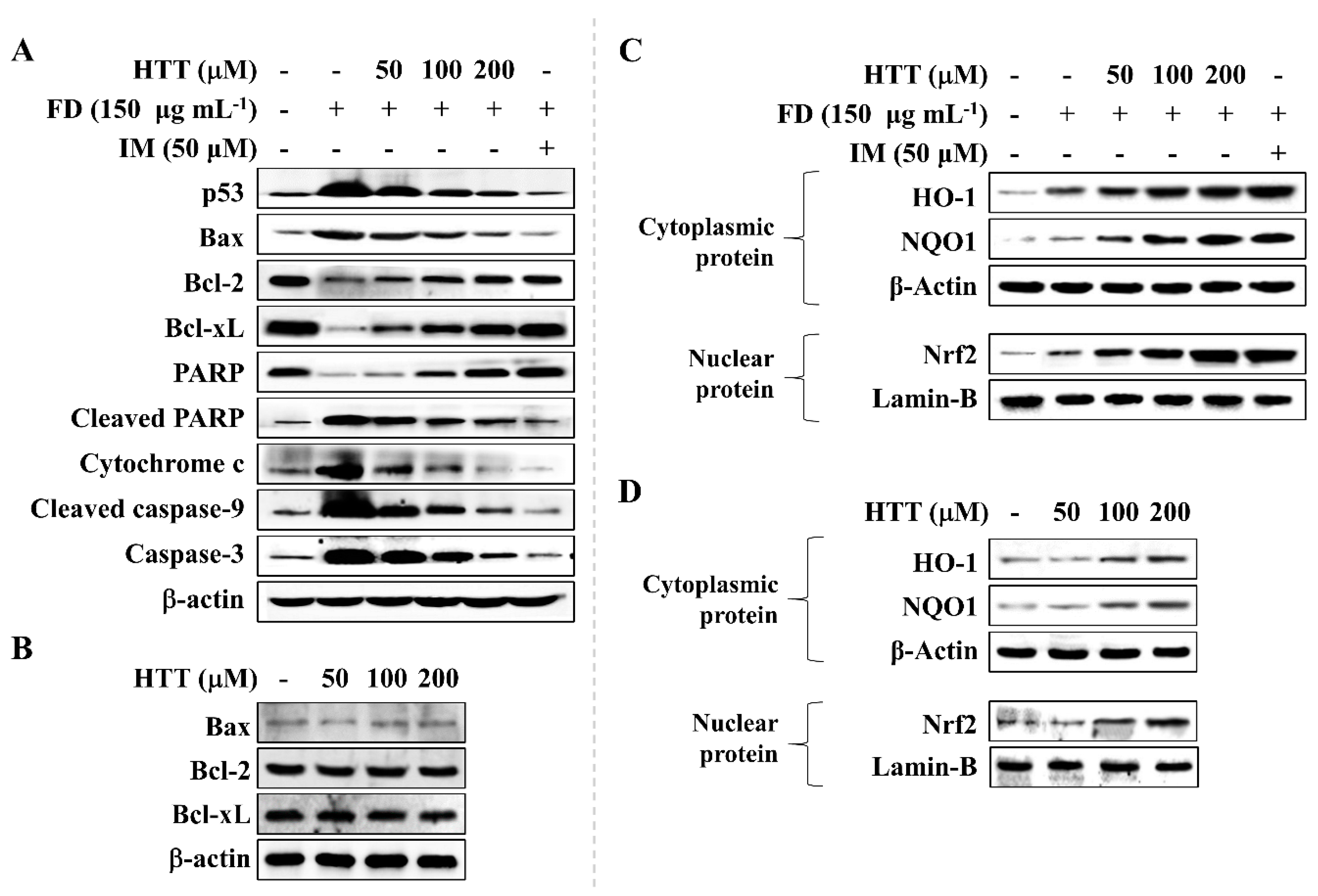 Antioxidants 09 00474 g004 Antioxidants 09 00474 g004