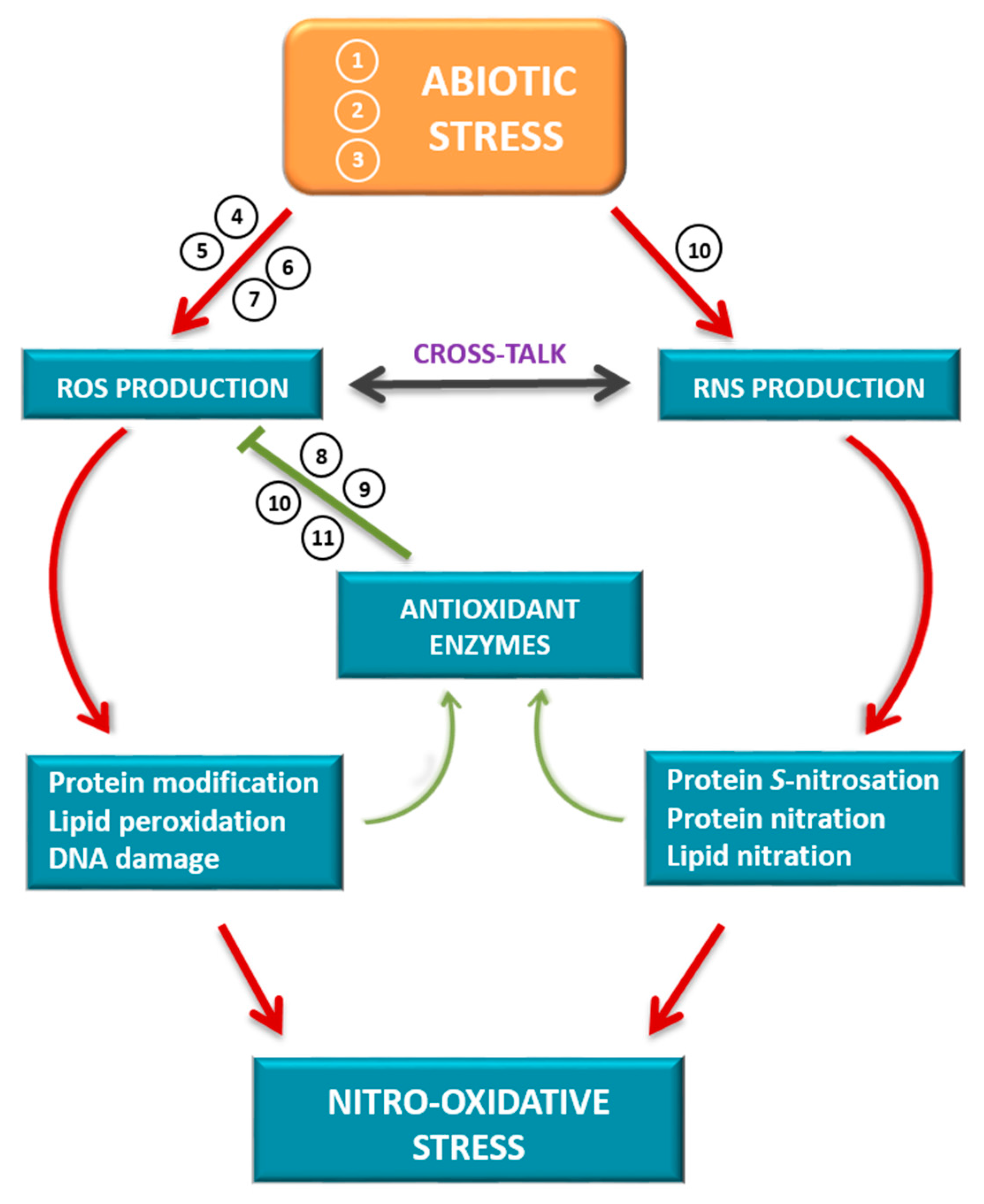 Antioxidants Free FullText Oxidative Stress in Plants