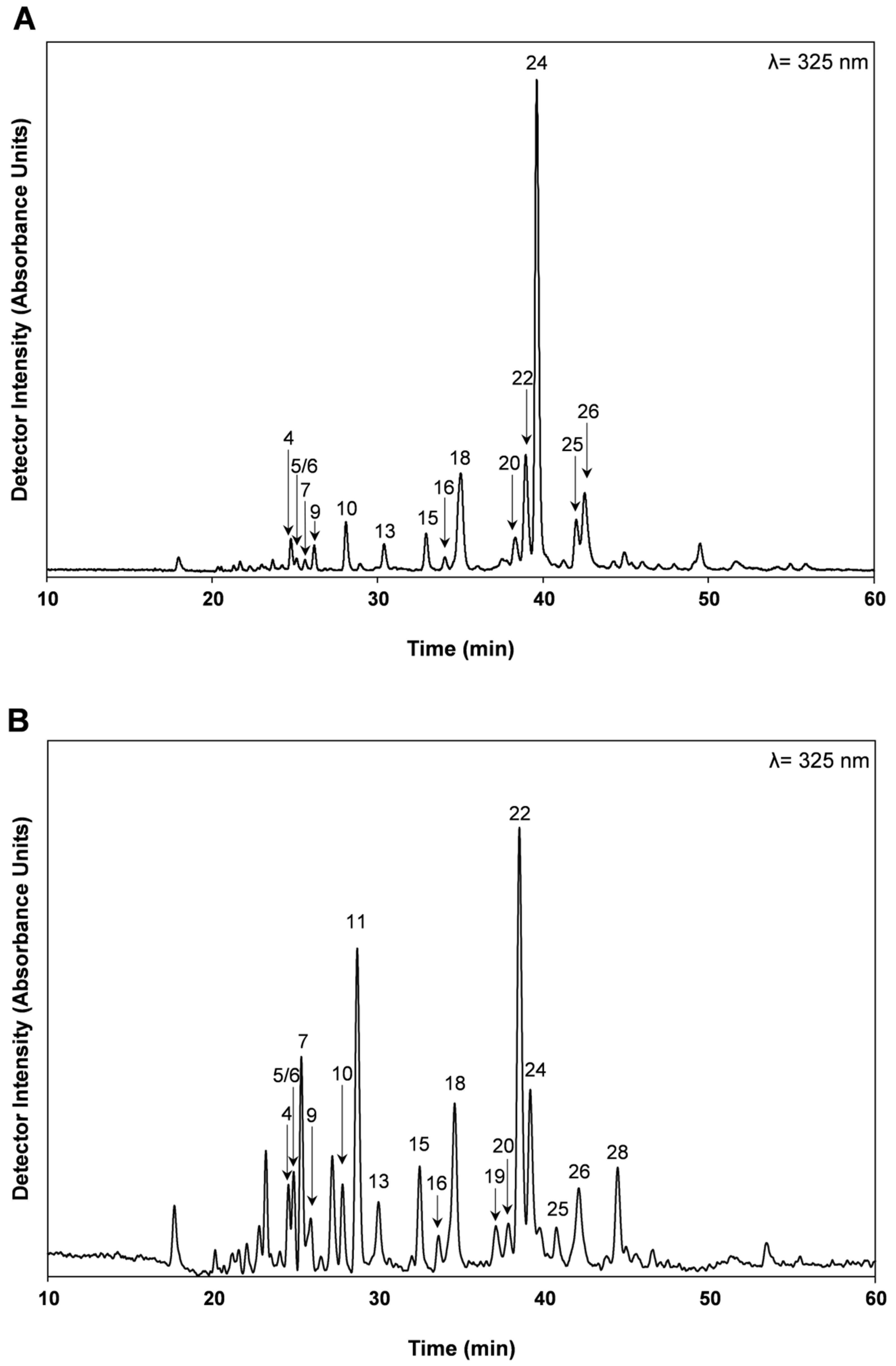 Antioxidants 09 00482 g001