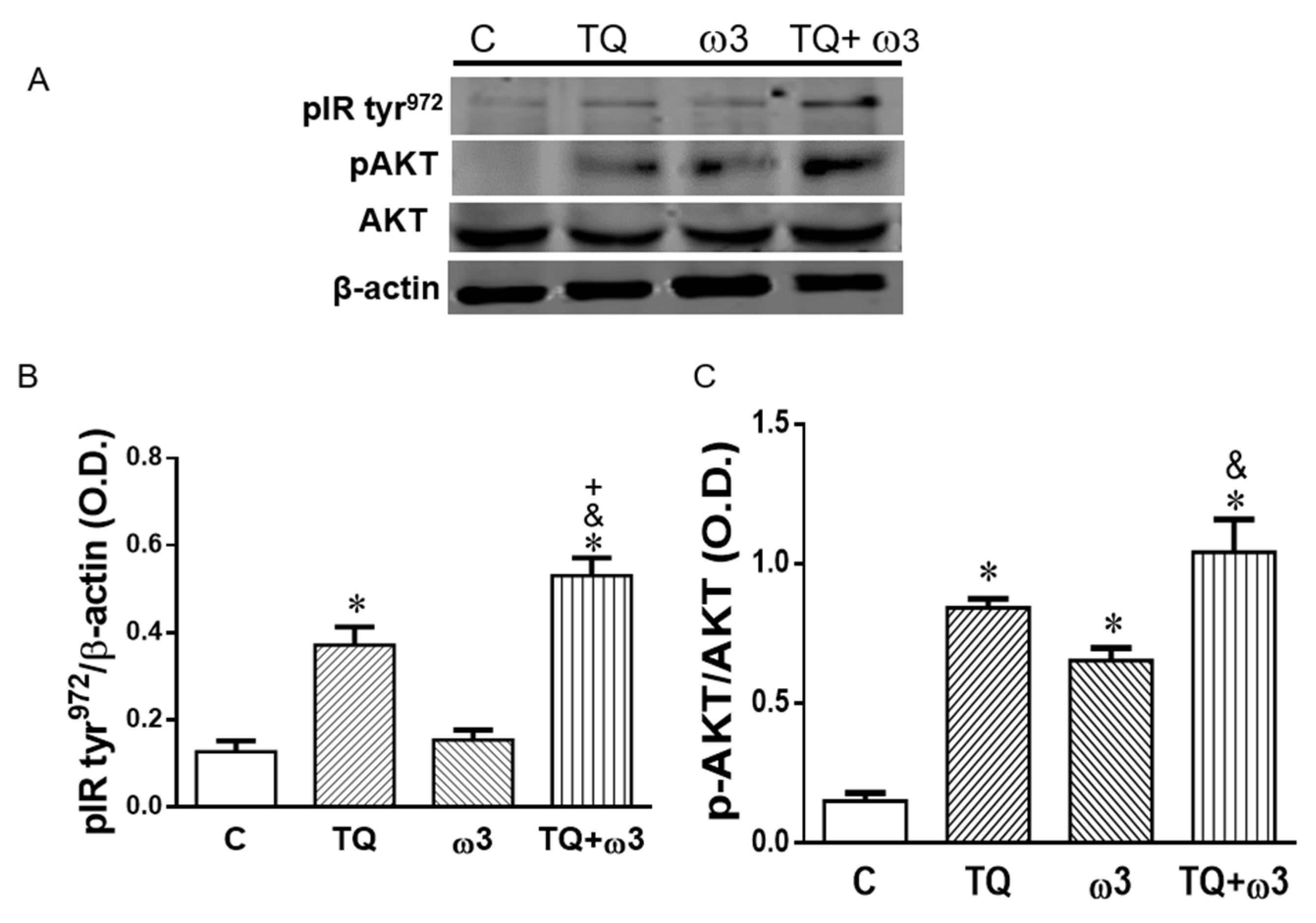 Antioxidants 09 00489 g003