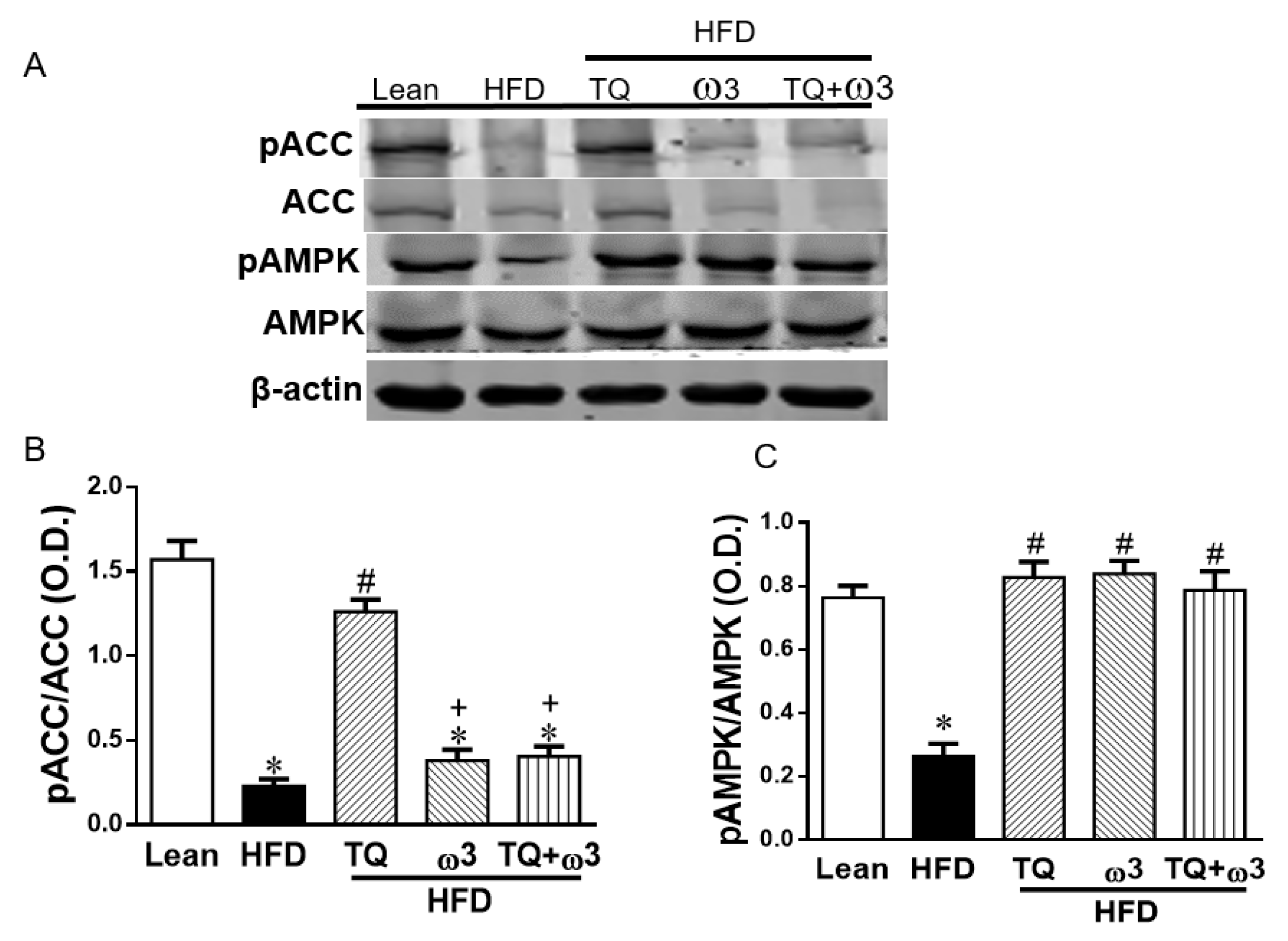 Antioxidants 09 00489 g006a
