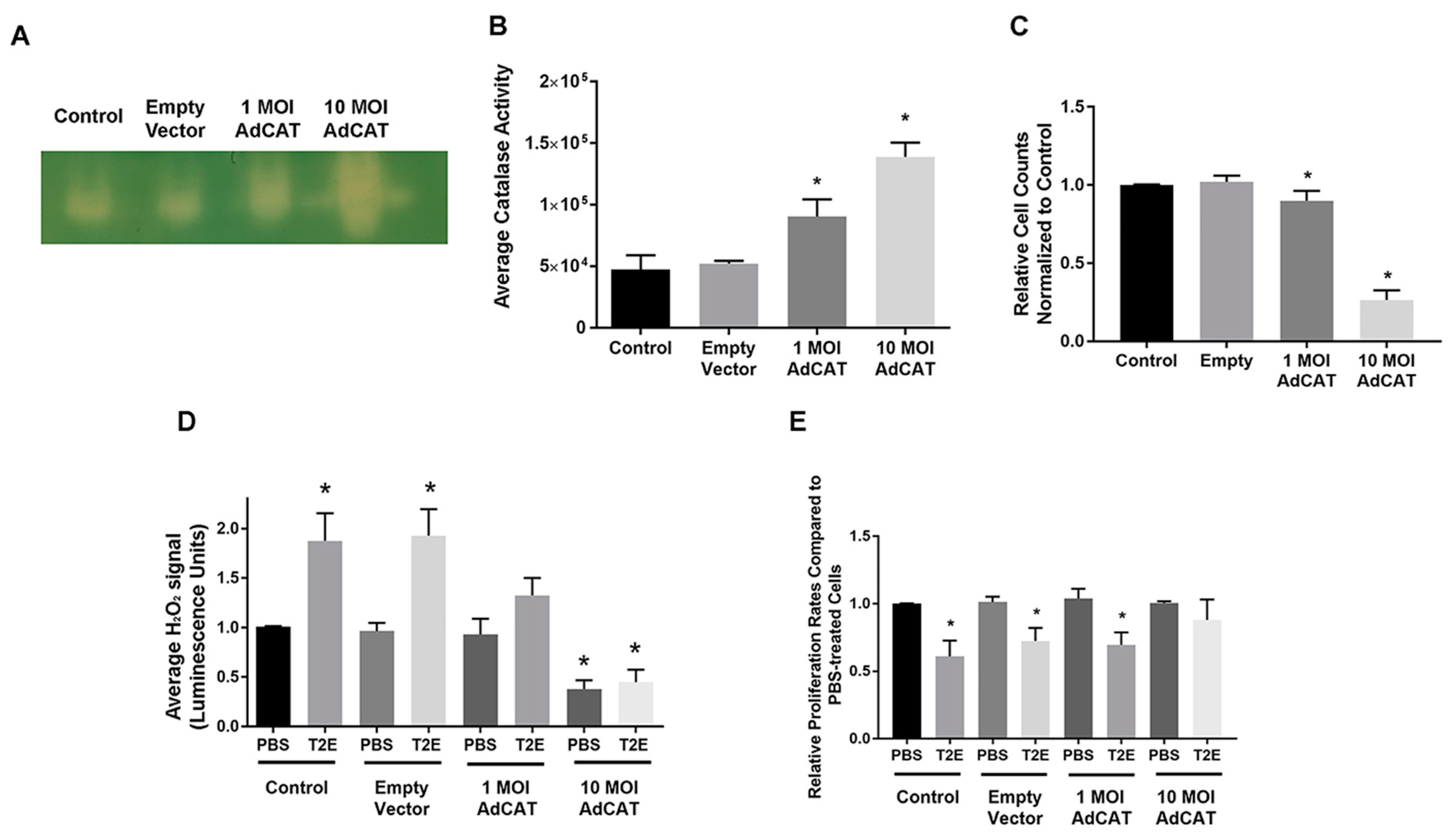 Antioxidants 09 00490 g003 Antioxidants 09 00490 g003