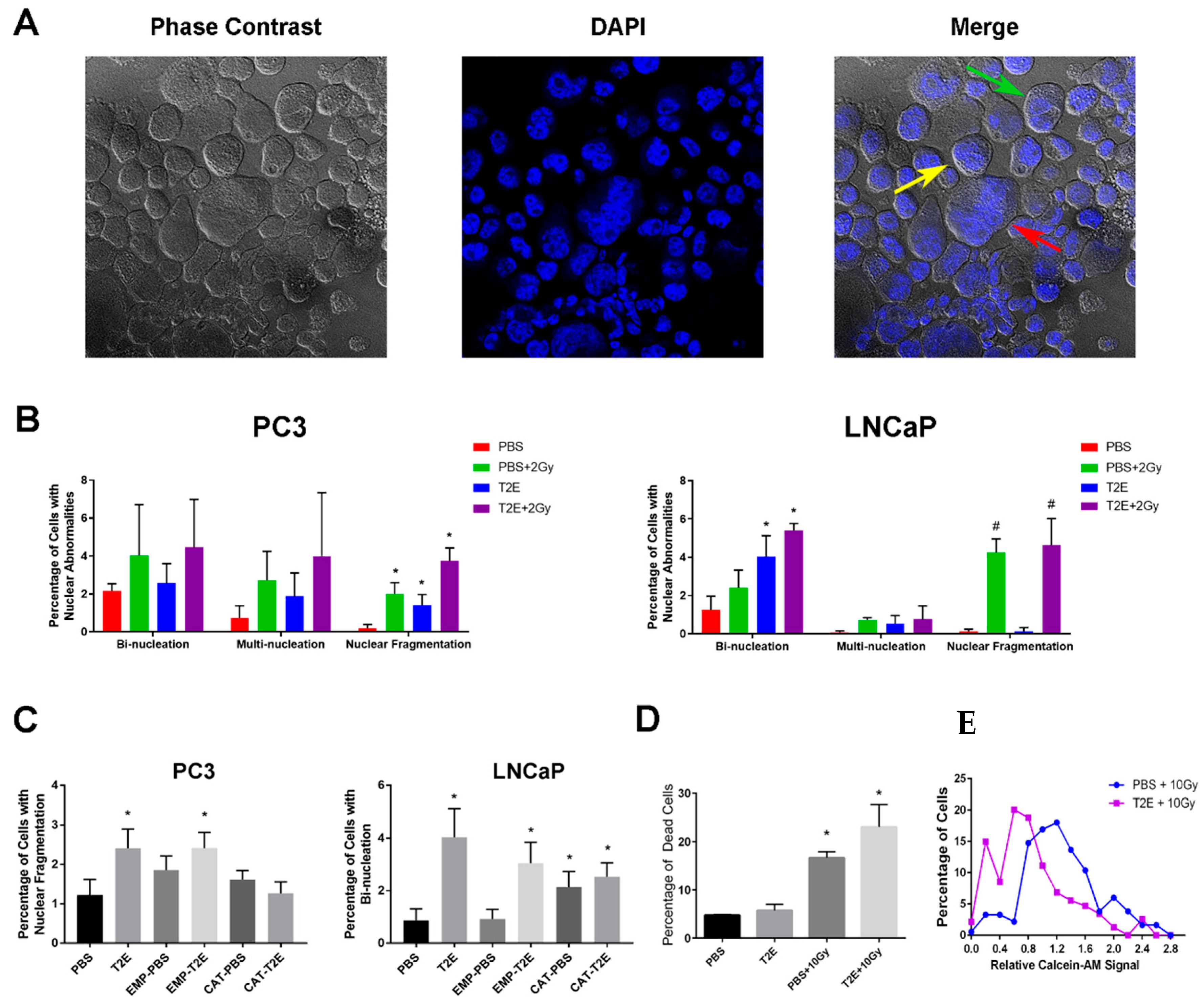 Antioxidants 09 00490 g007 Antioxidants 09 00490 g007