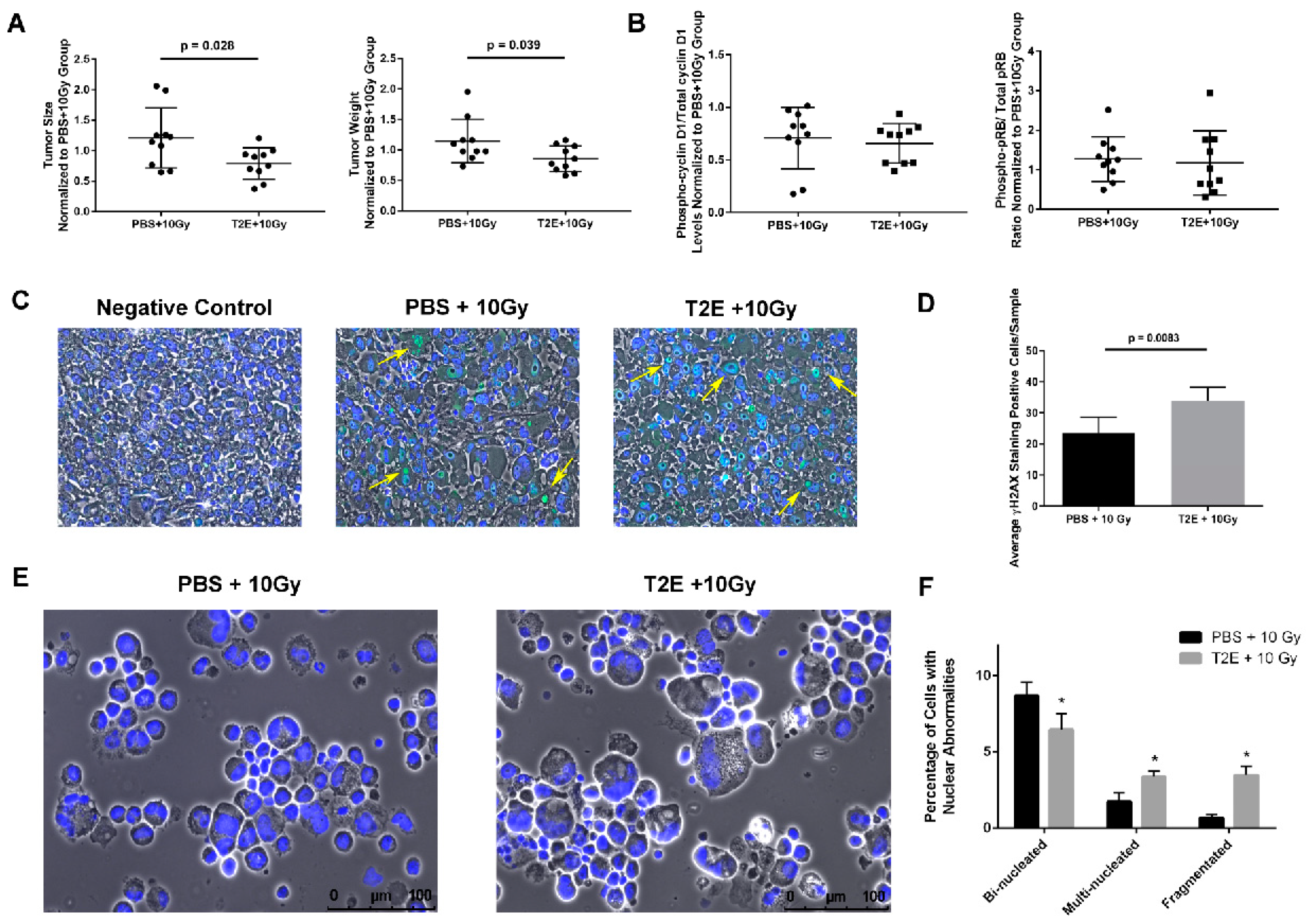 Antioxidants 09 00490 g008 Antioxidants 09 00490 g008