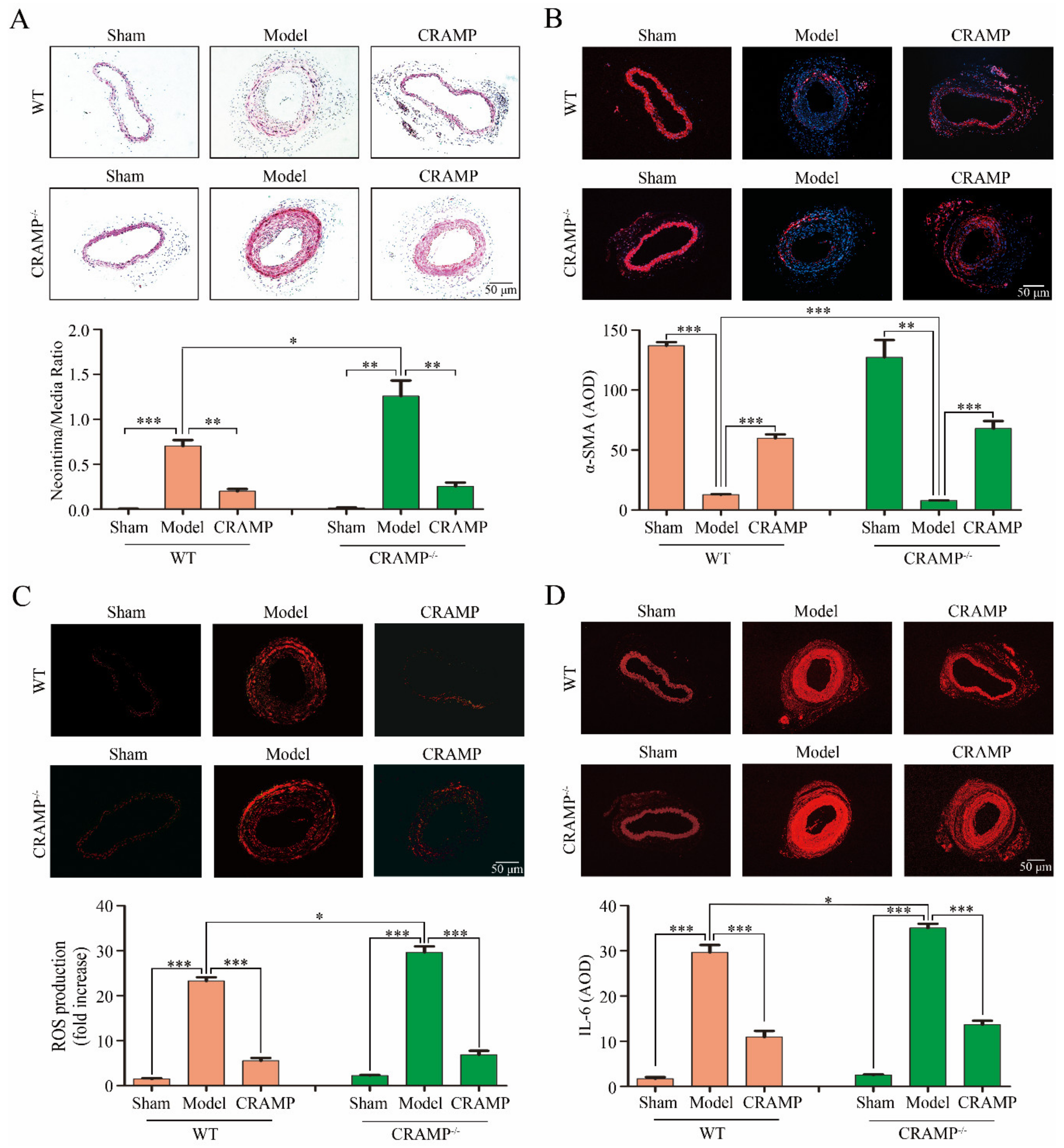 Antioxidants 09 00491 g007
