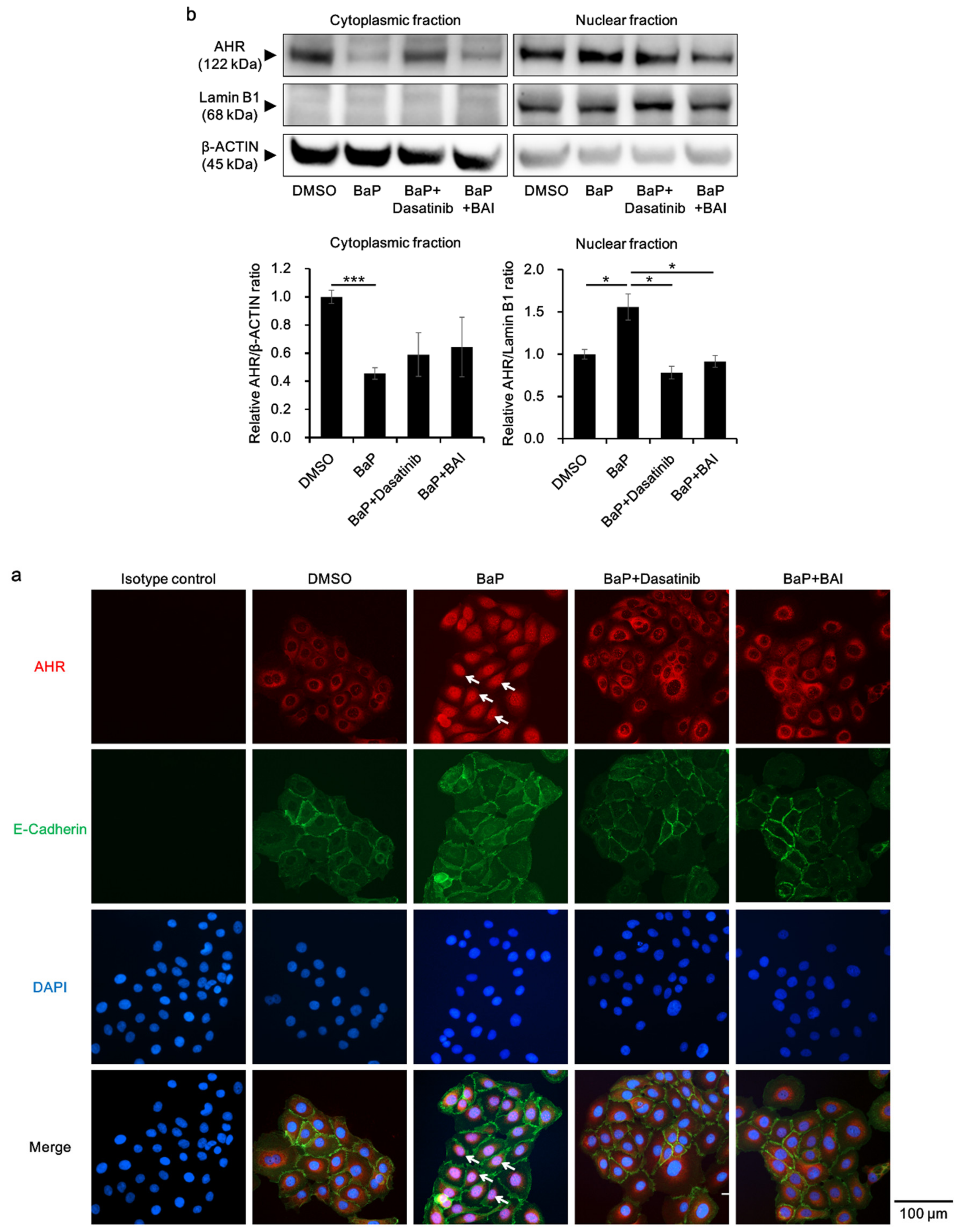 Antioxidants 09 00507 g008
