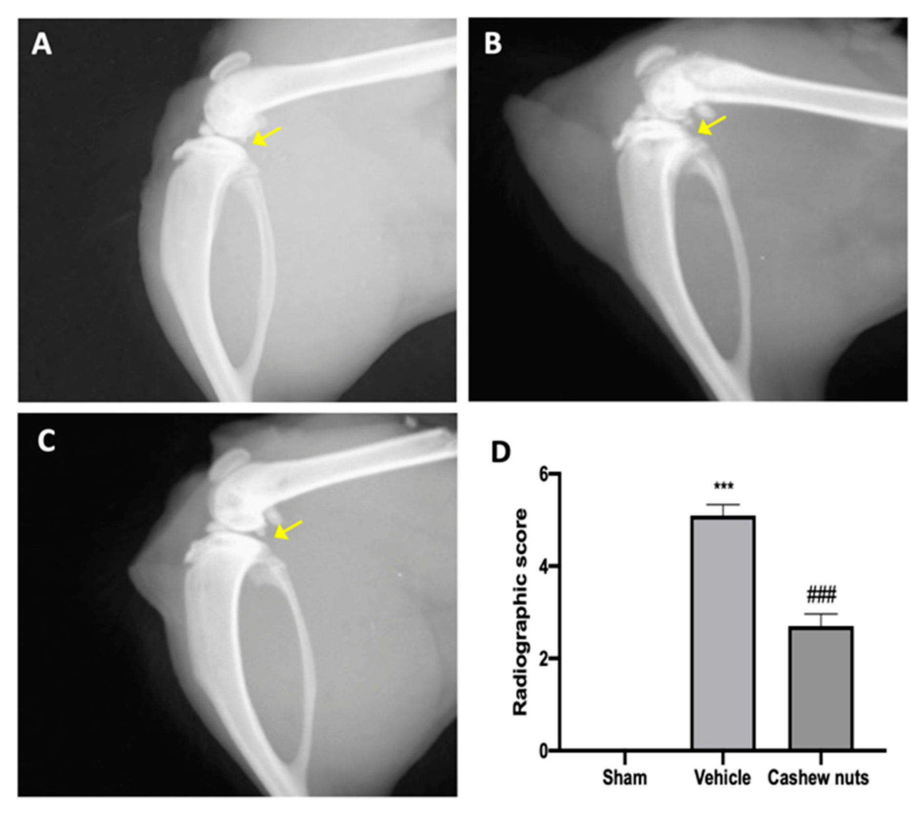 Antioxidants 09 00511 g004 Antioxidants 09 00511 g004