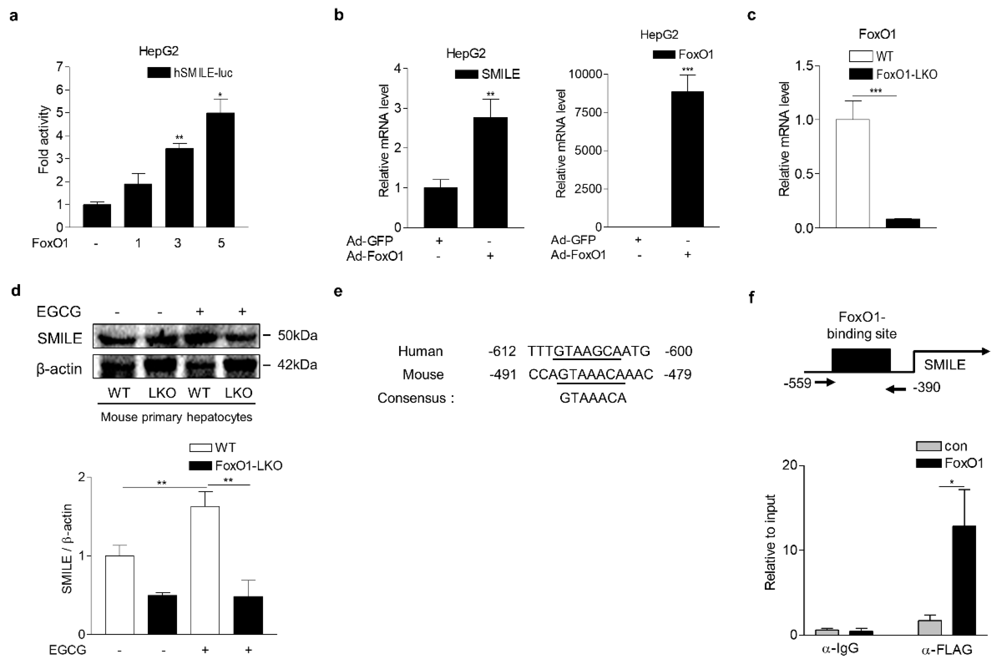 Antioxidants 09 00514 g005 Antioxidants 09 00514 g005