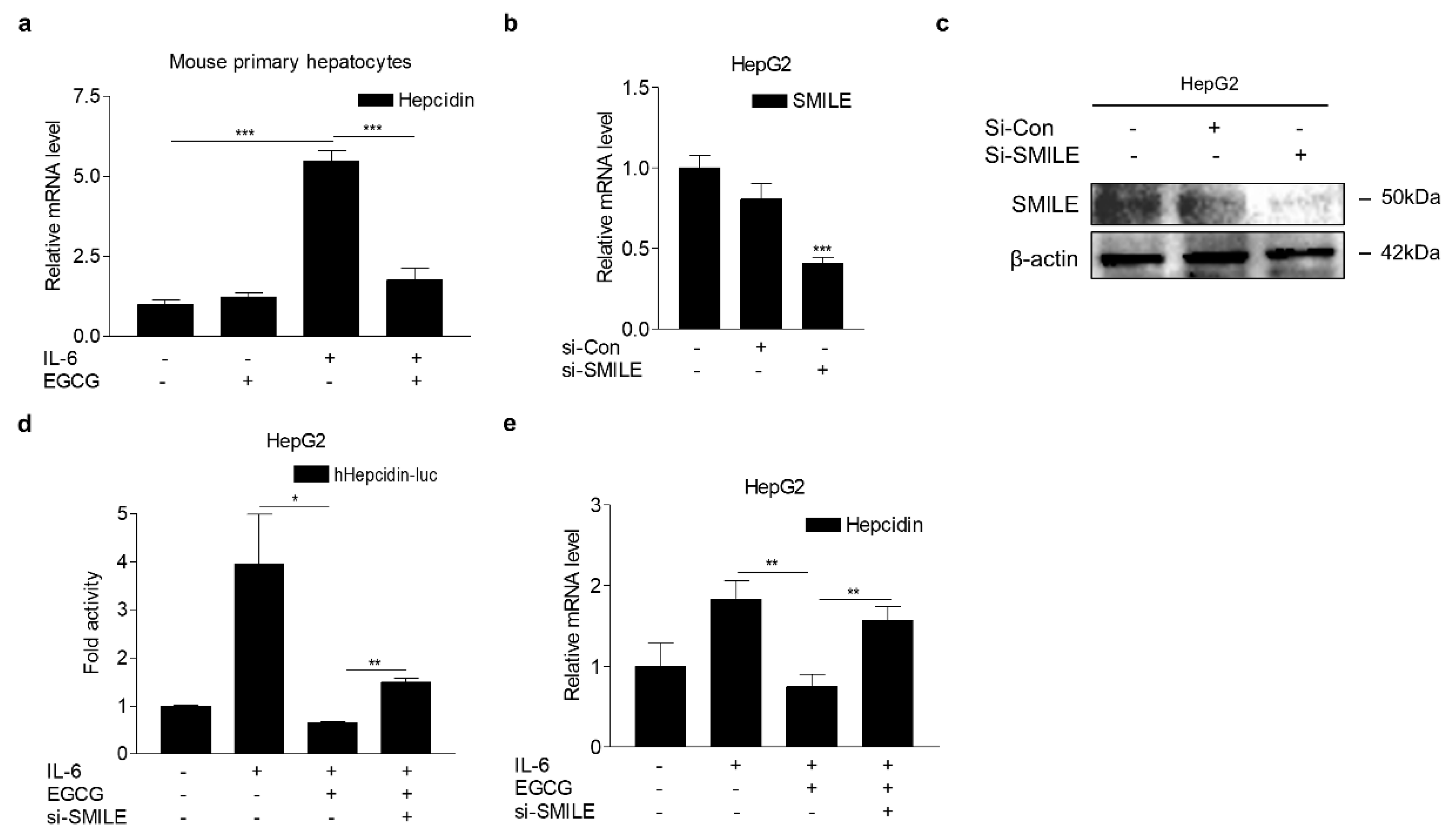 Antioxidants 09 00514 g006 Antioxidants 09 00514 g006