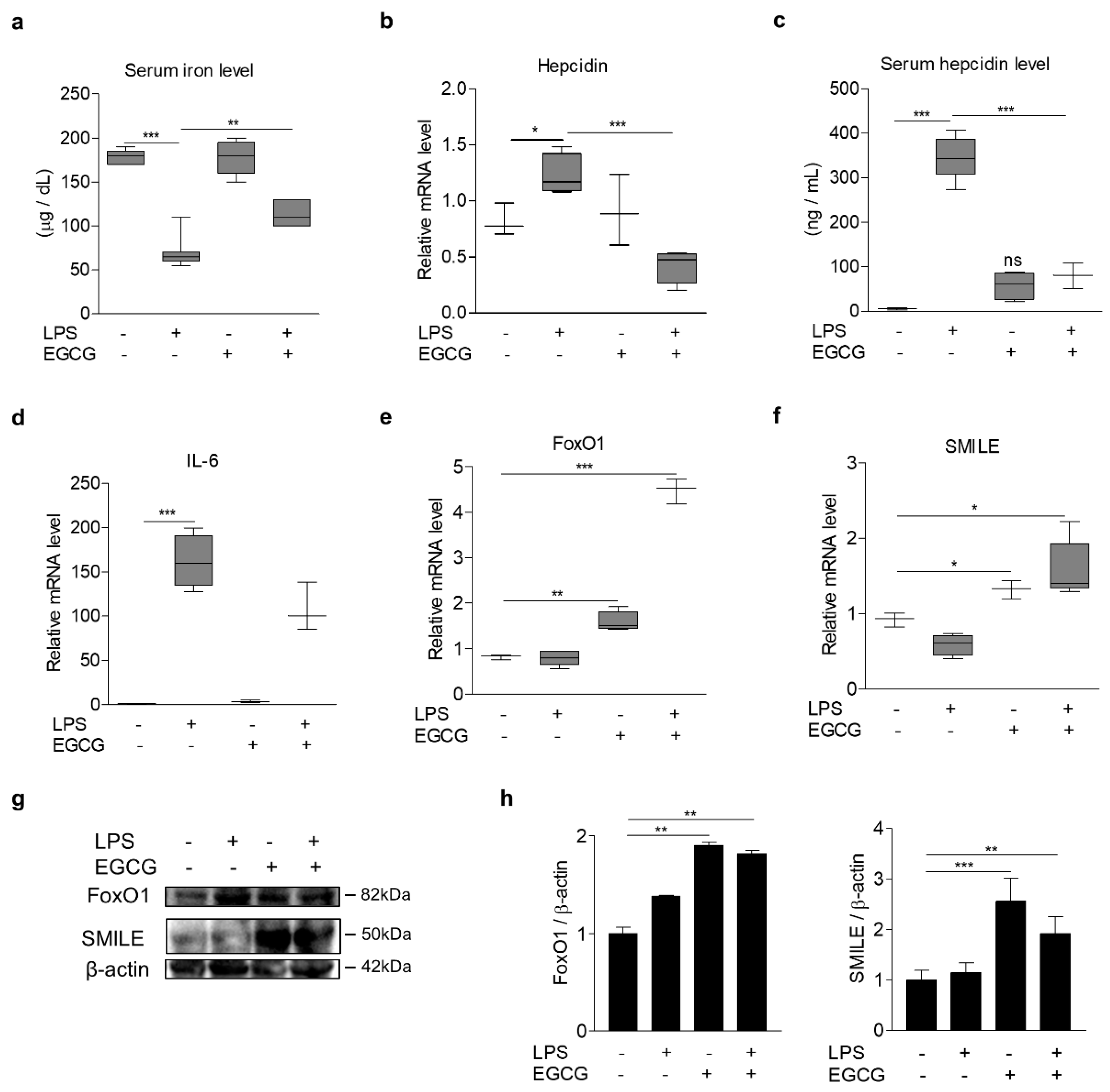 Antioxidants 09 00514 g007 Antioxidants 09 00514 g007