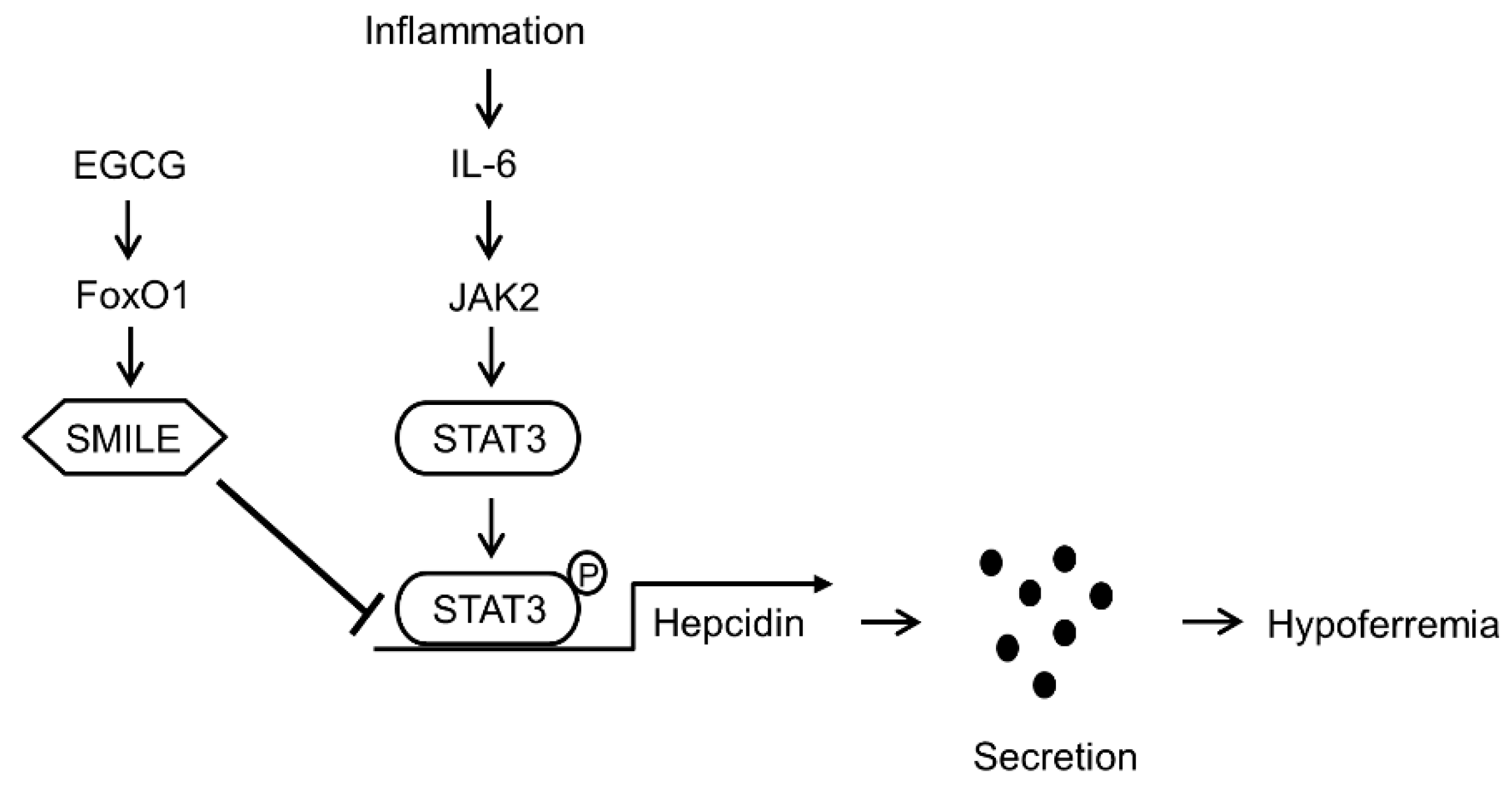 Antioxidants 09 00514 g008 Antioxidants 09 00514 g008