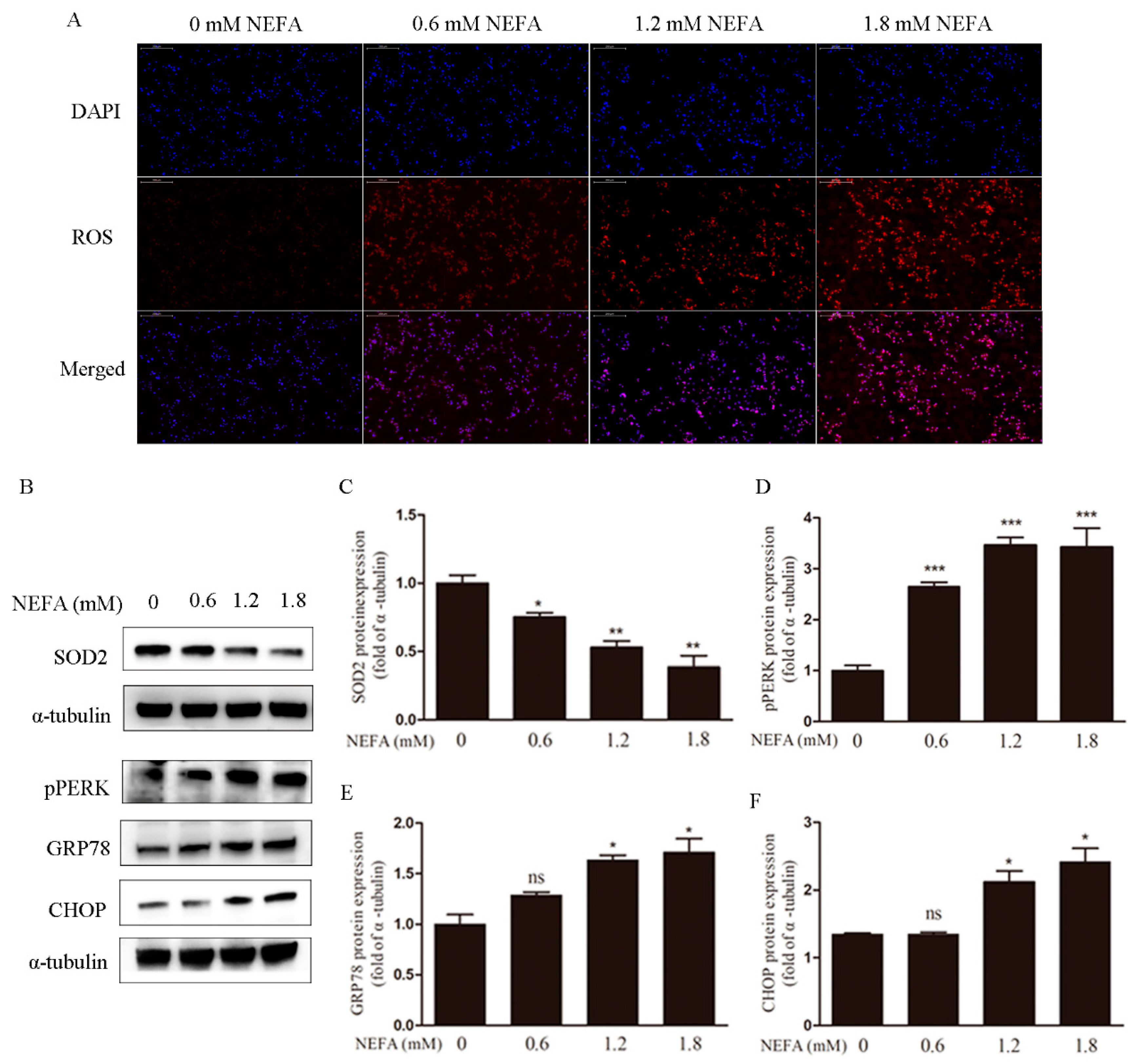 Antioxidants 09 00523 g001 Antioxidants 09 00523 g001