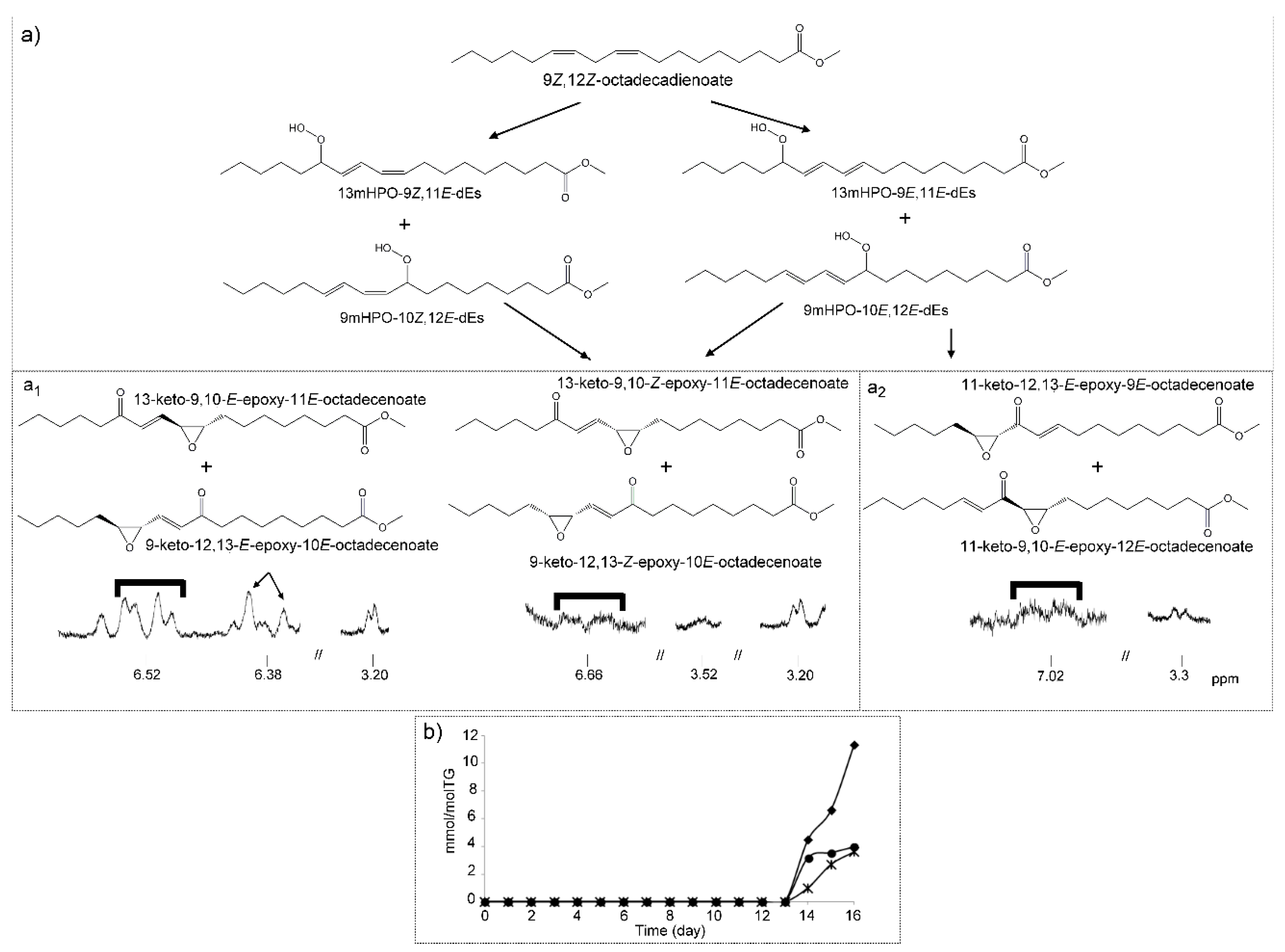 Antioxidants 09 00544 g009