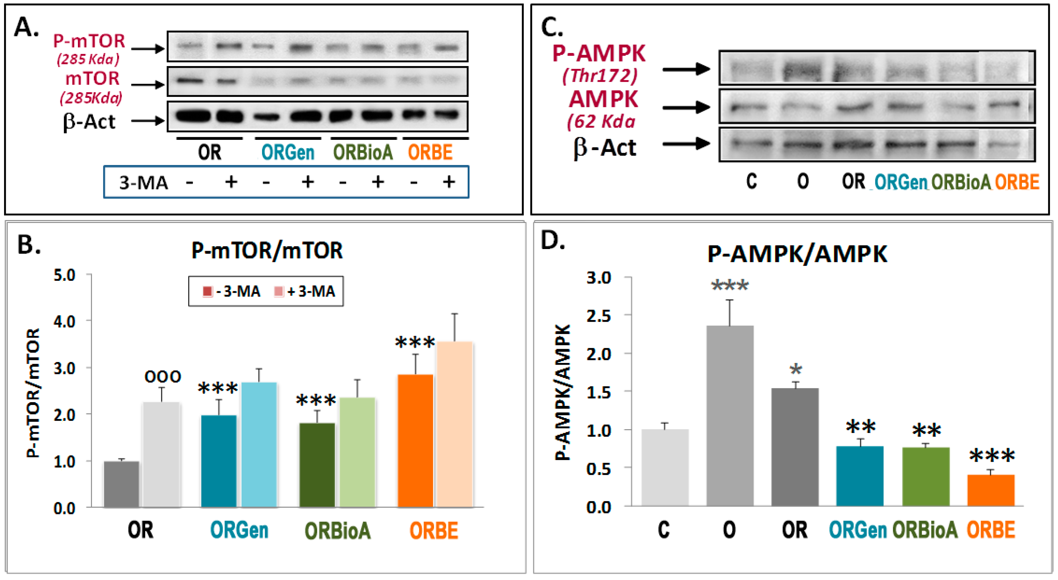 Antioxidants 09 00545 g004 Antioxidants 09 00545 g004