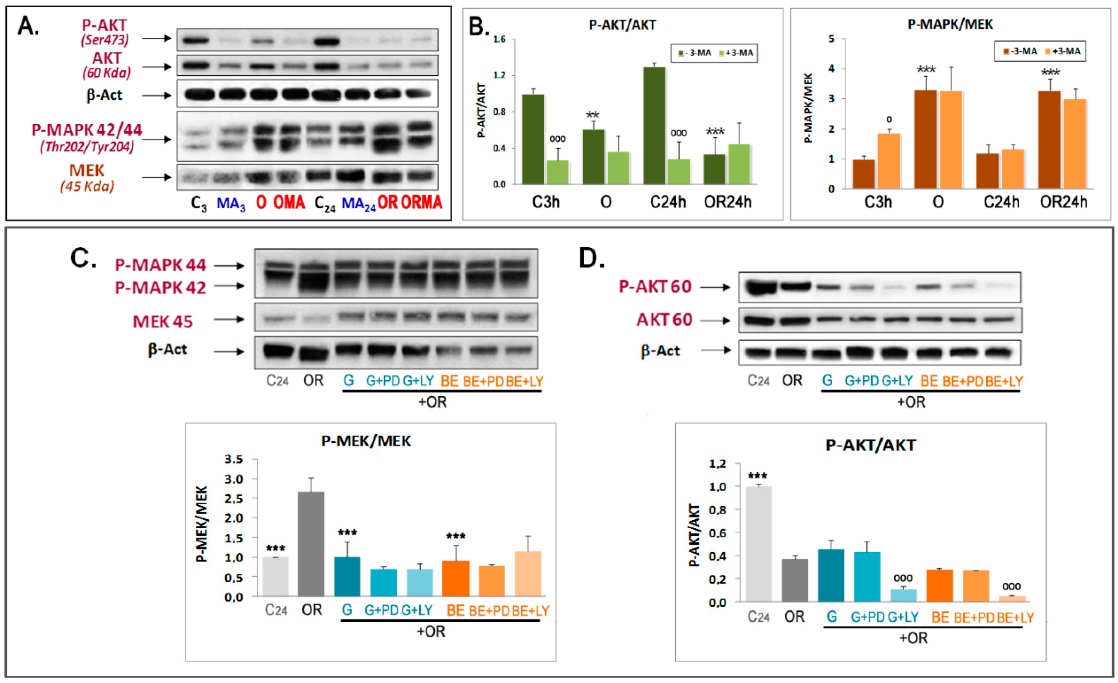 Antioxidants 09 00545 g005 Antioxidants 09 00545 g005