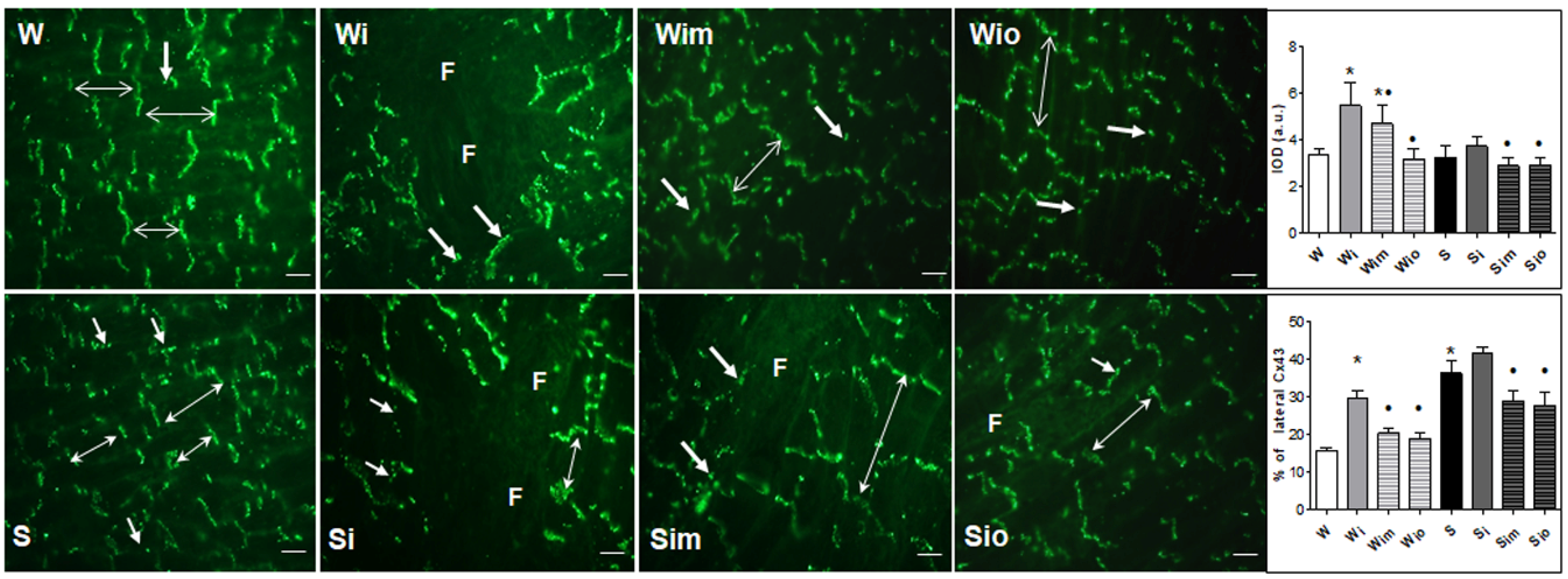 Antioxidants 09 00546 g005 Antioxidants 09 00546 g005