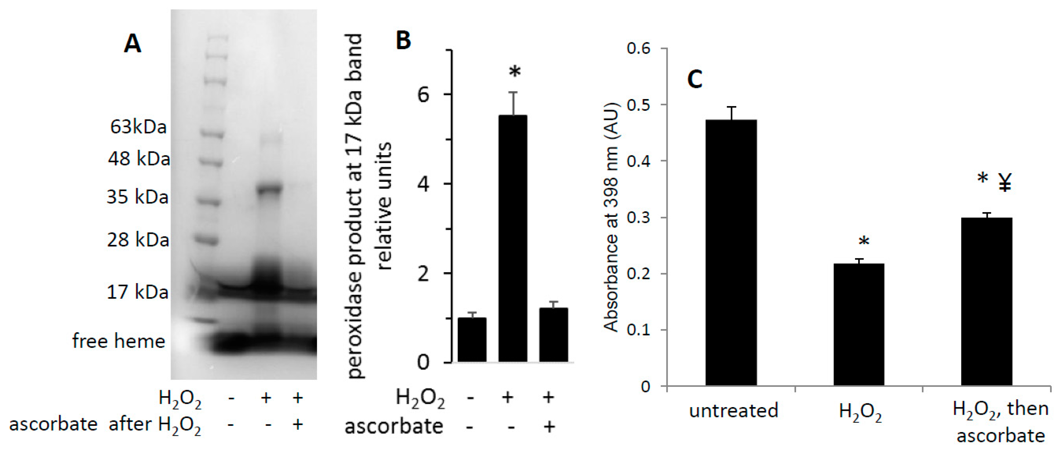 Antioxidants 09 00549 g005 Antioxidants 09 00549 g005