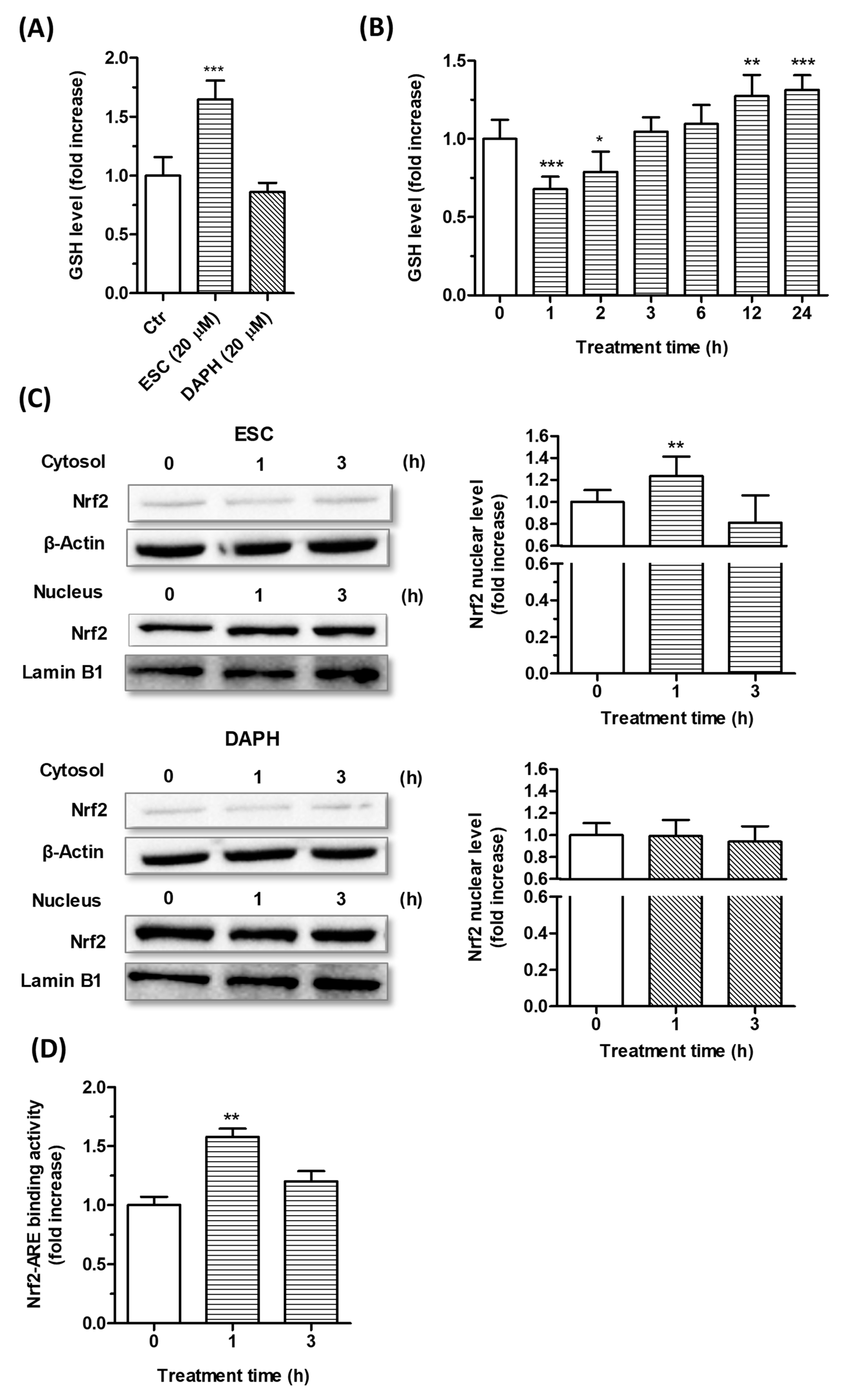 Antioxidants 09 00551 g004