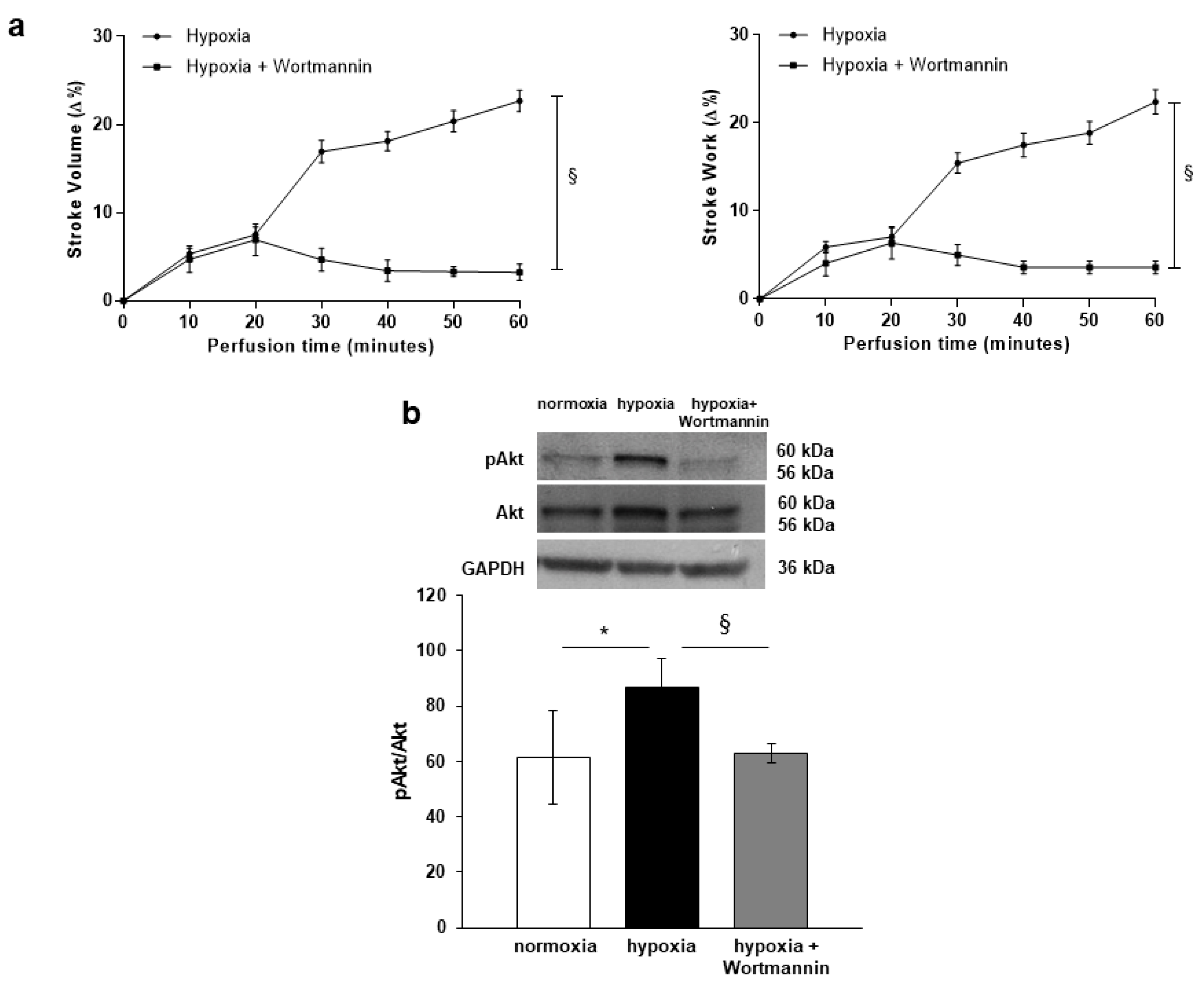 Antioxidants 09 00555 g002 Antioxidants 09 00555 g002